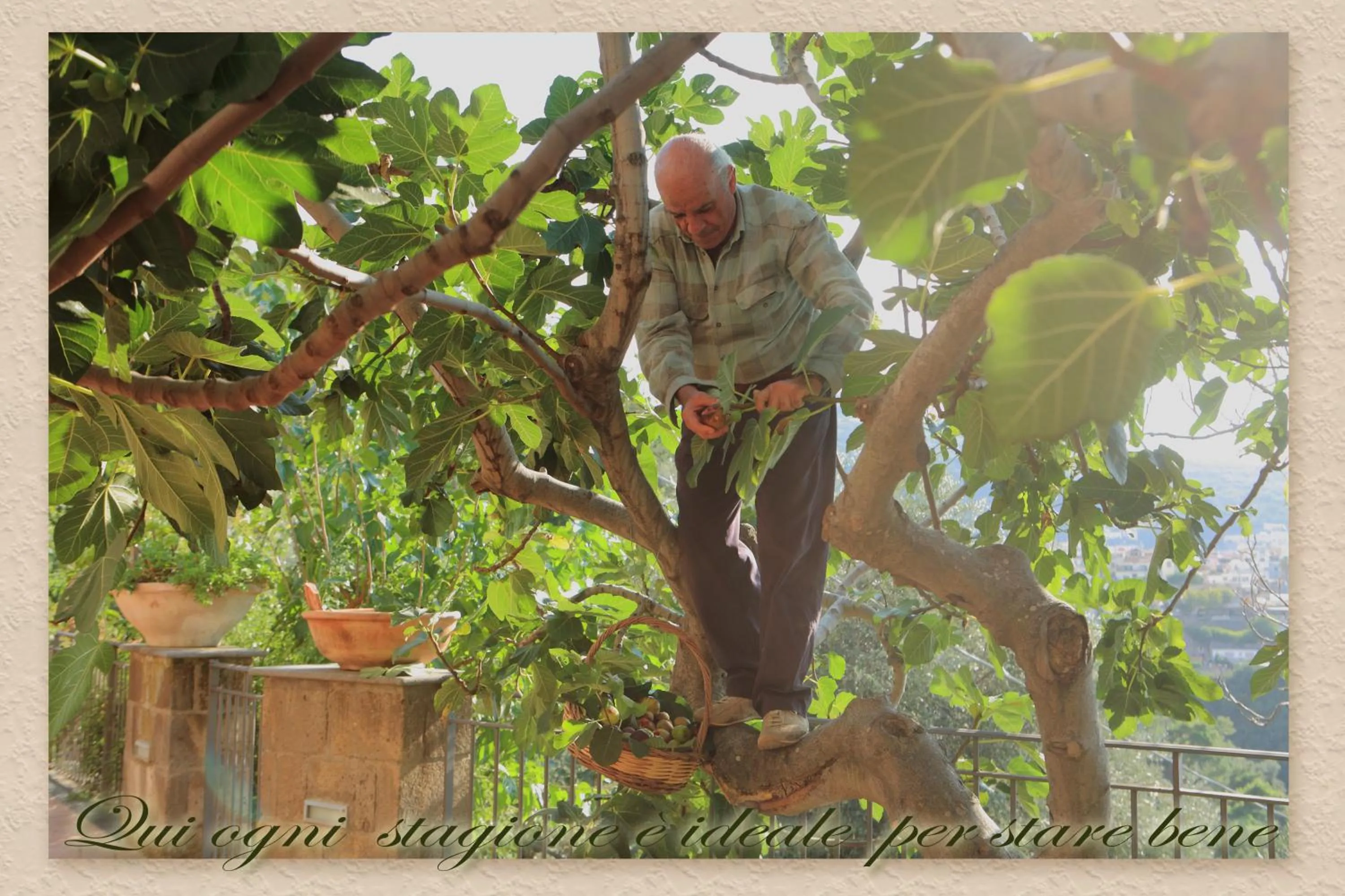 Other in Villa Ketty Resort