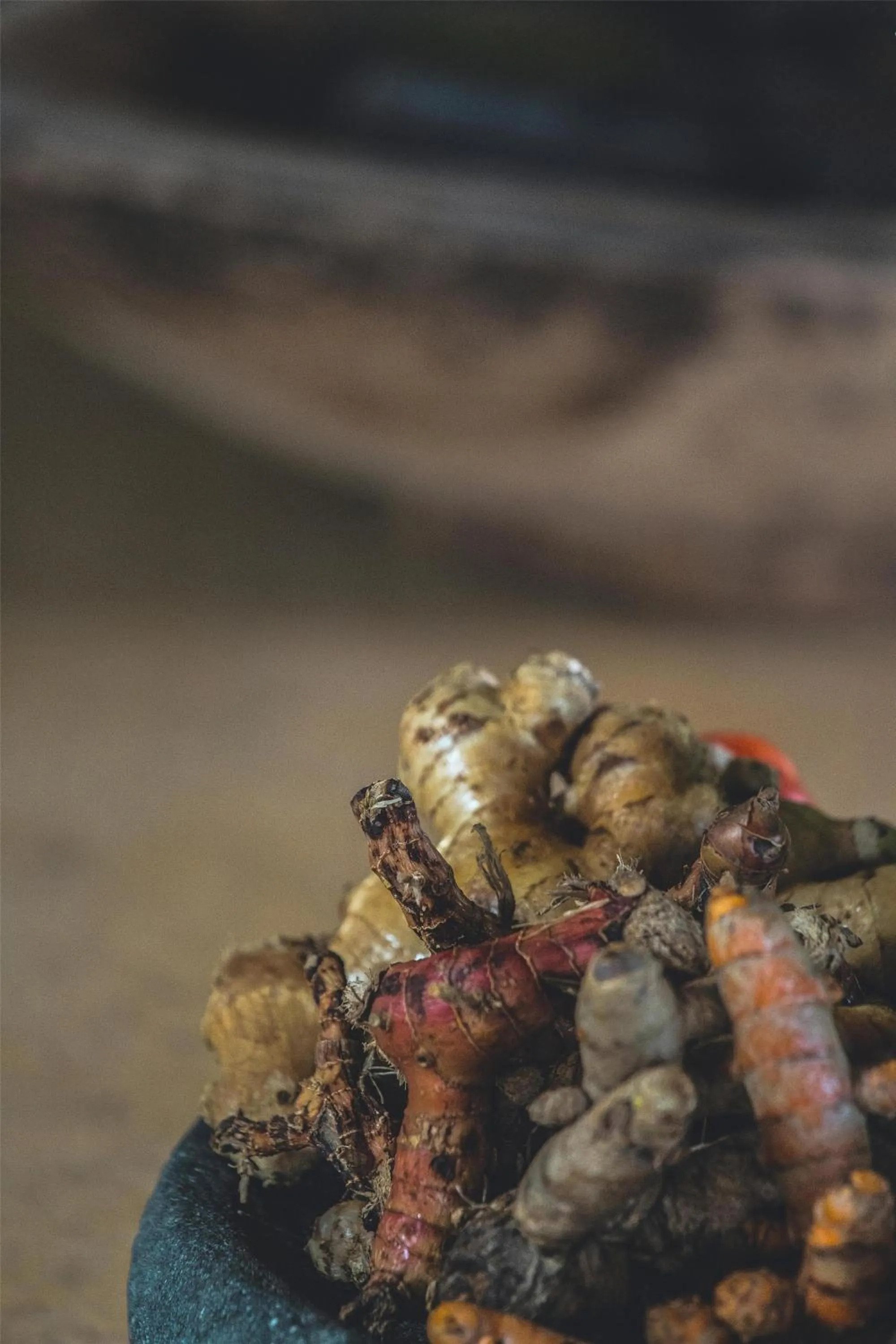 Restaurant/places to eat in Alila Manggis