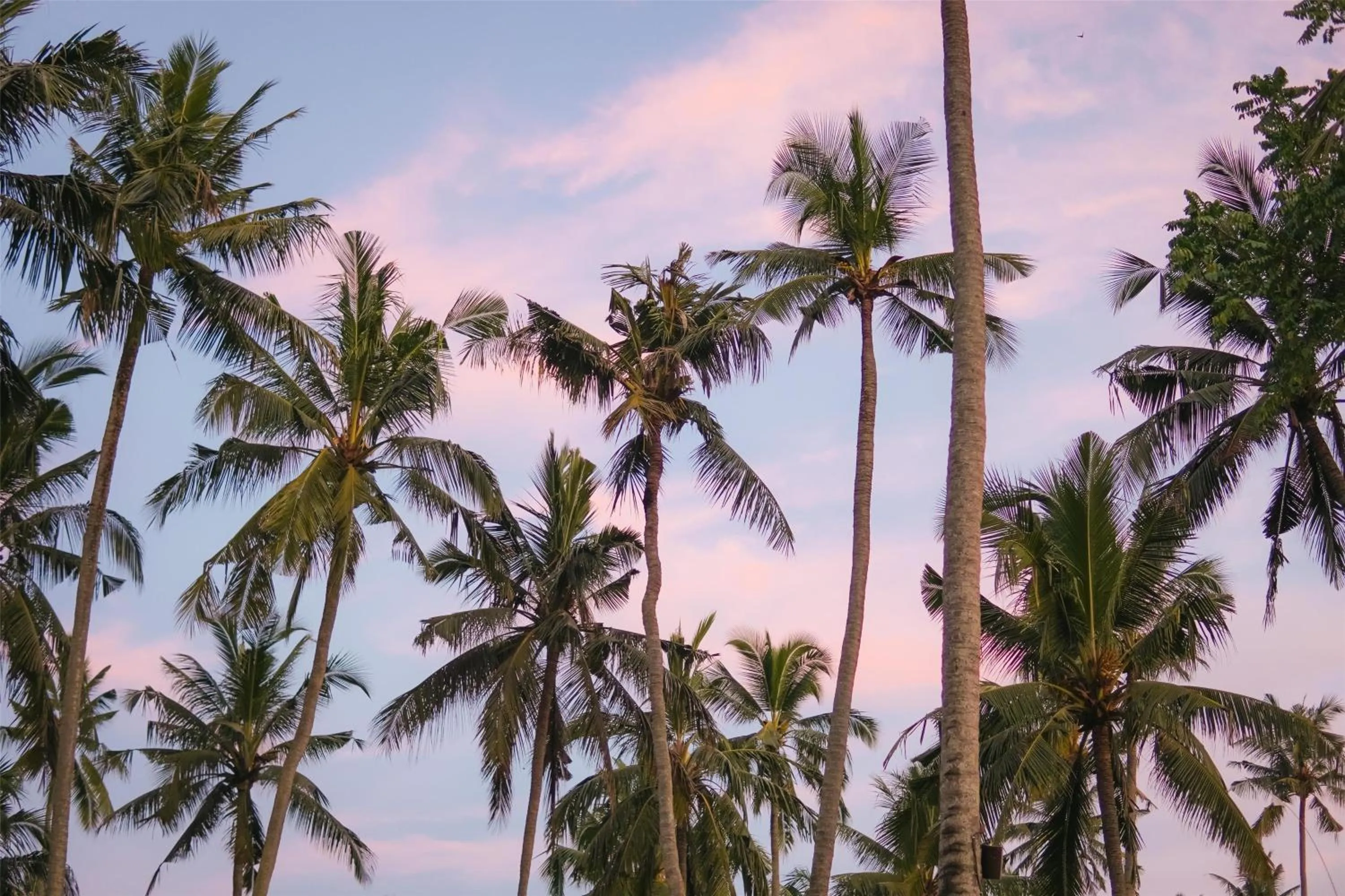 Property building in Alila Manggis