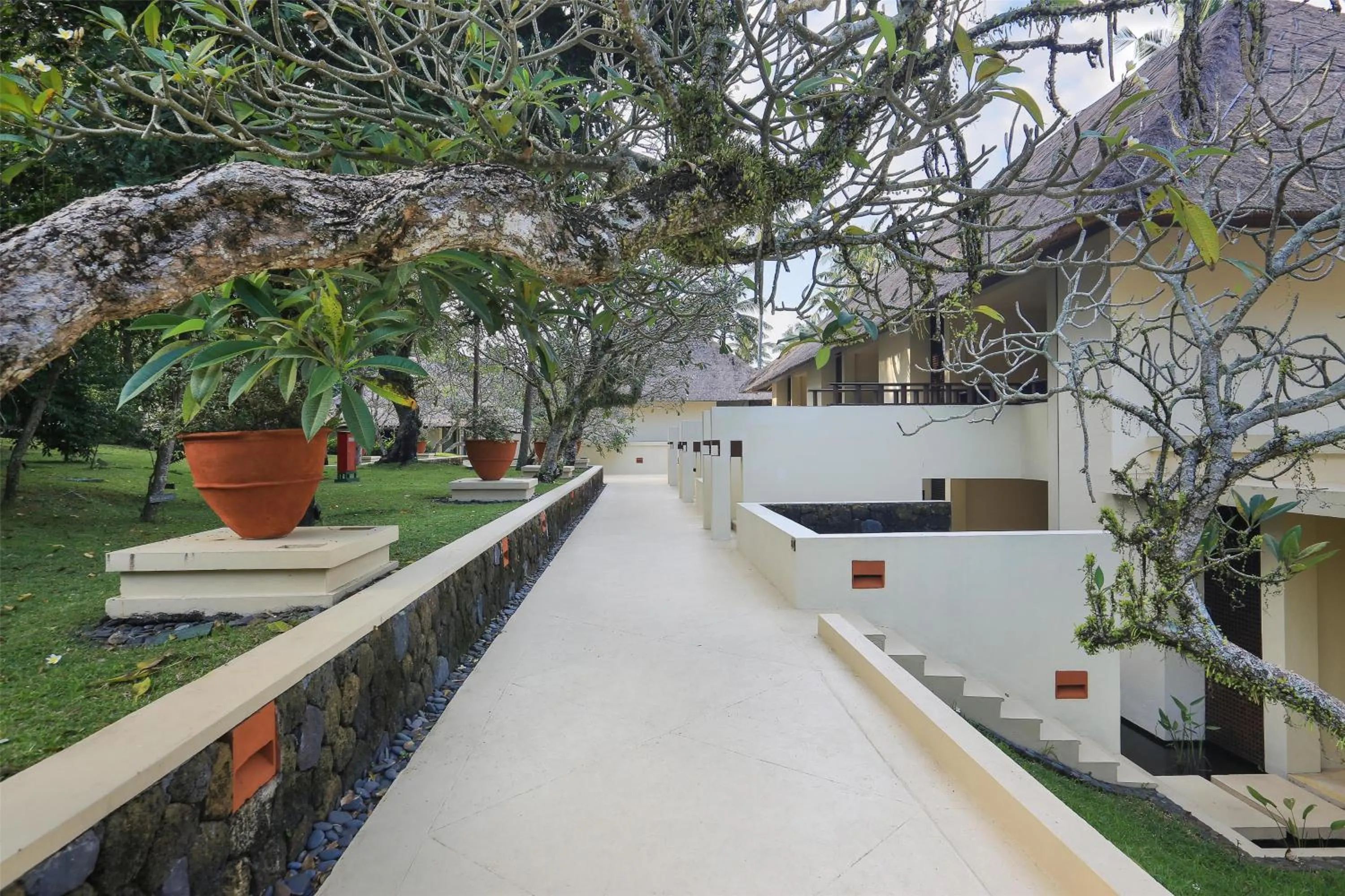 View (from property/room) in Alila Manggis