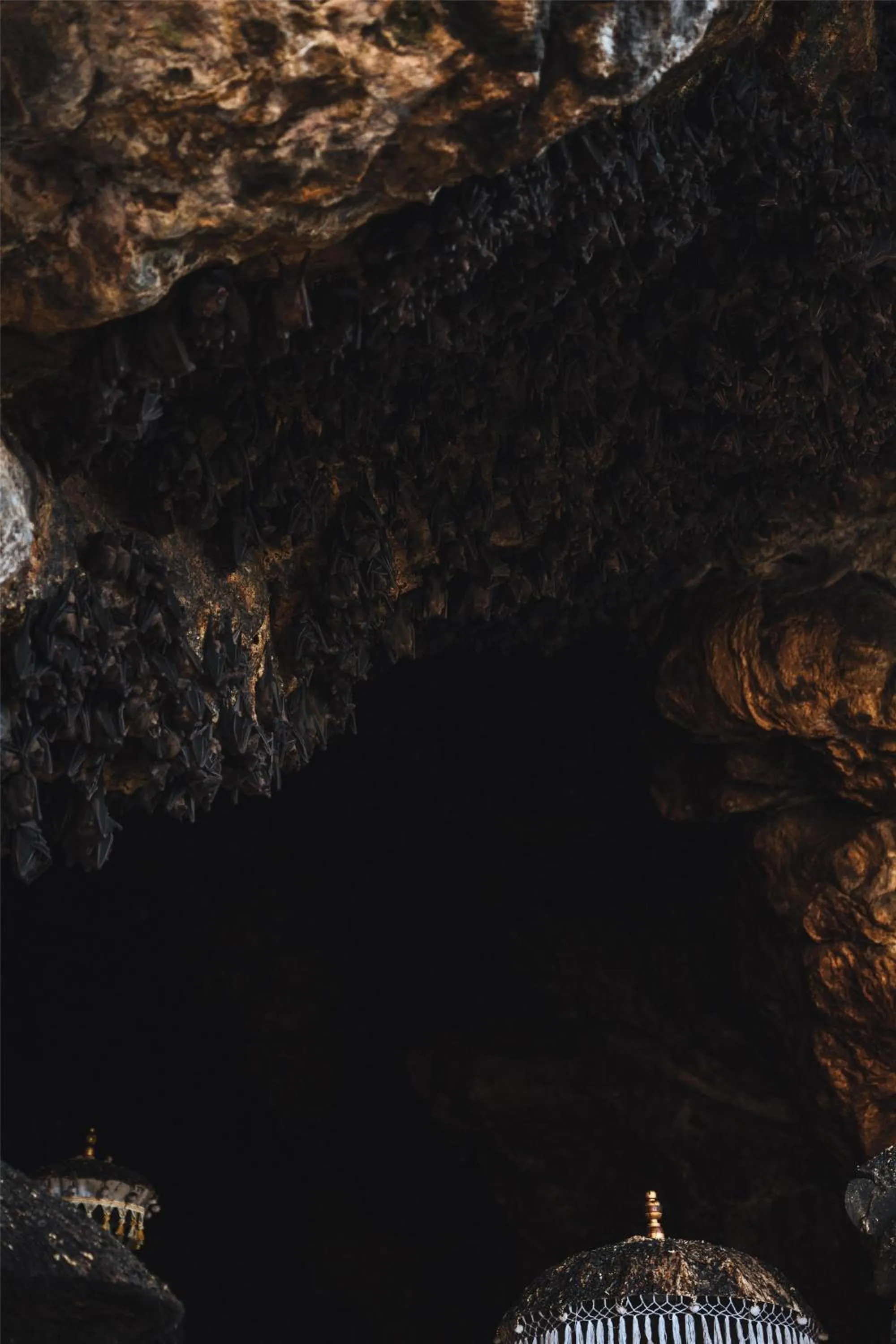 Location in Alila Manggis