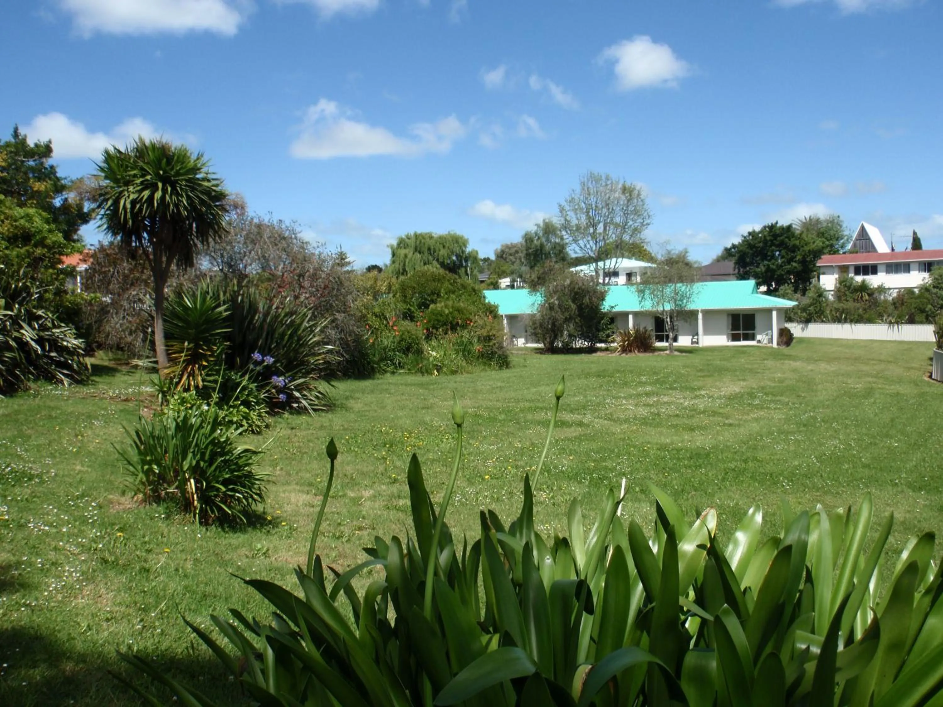 Garden in Waiuku Motel