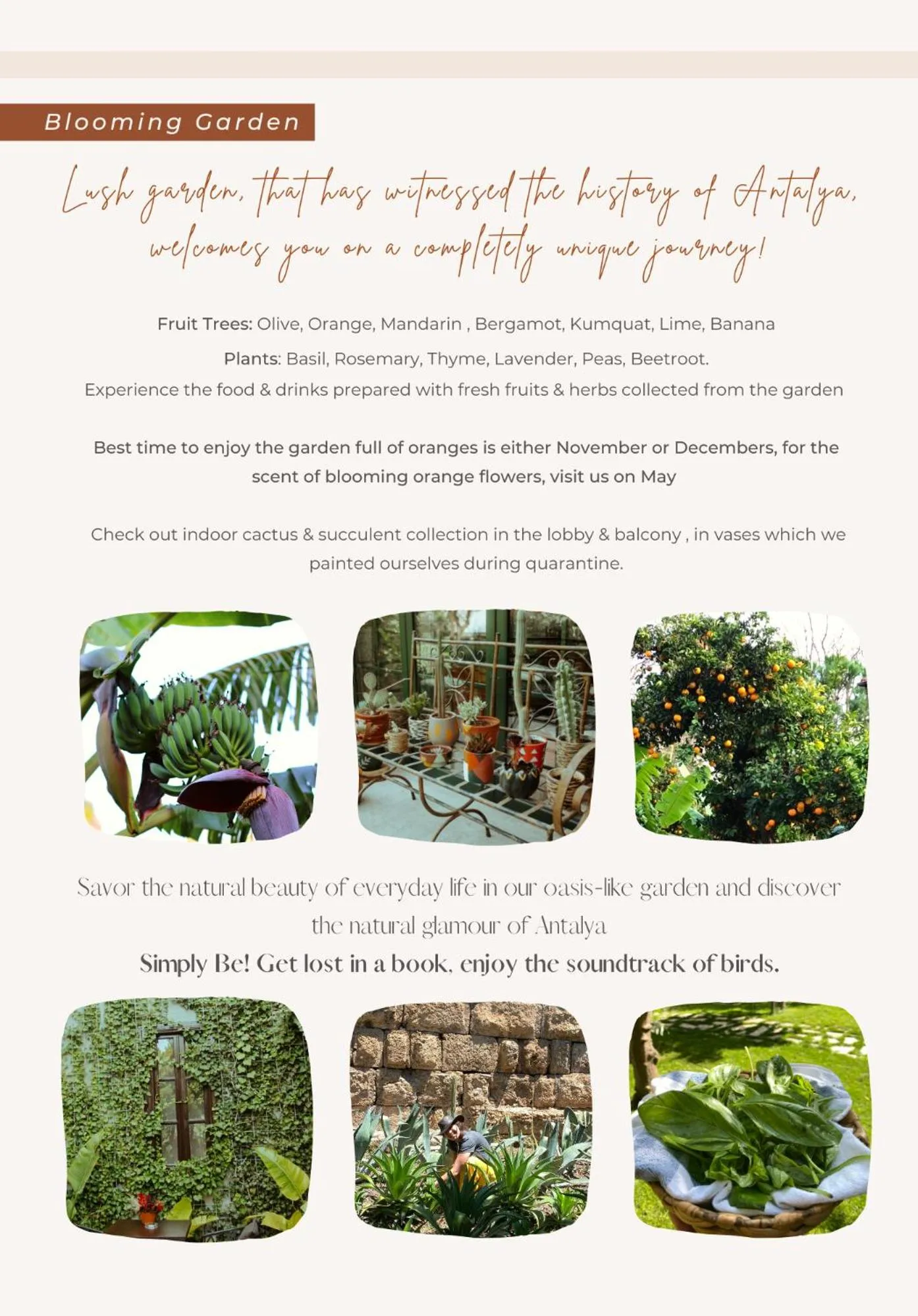 Garden in Casa Sur Antalya