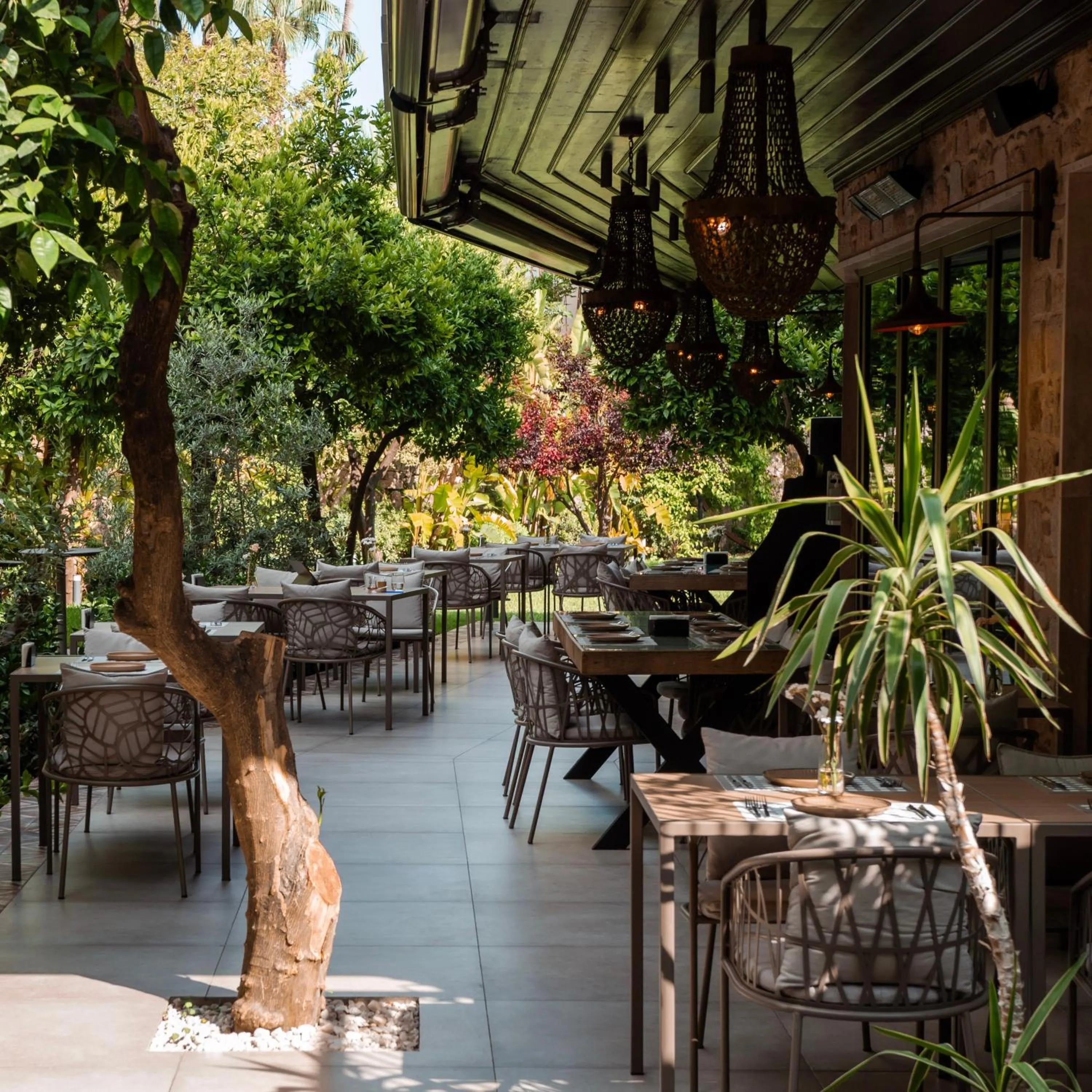 Restaurant/places to eat in Casa Sur Antalya