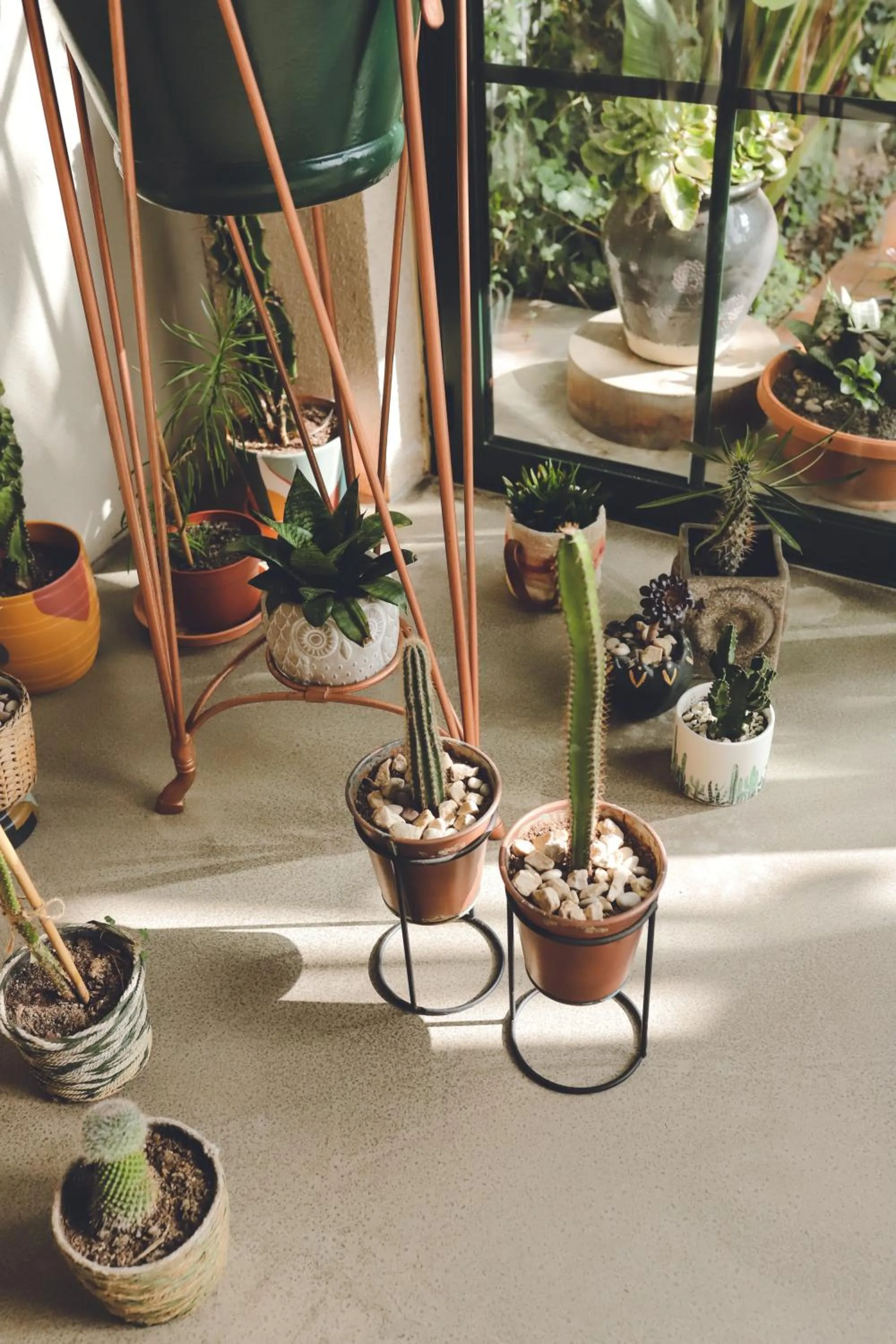 Lobby or reception in Casa Sur Antalya