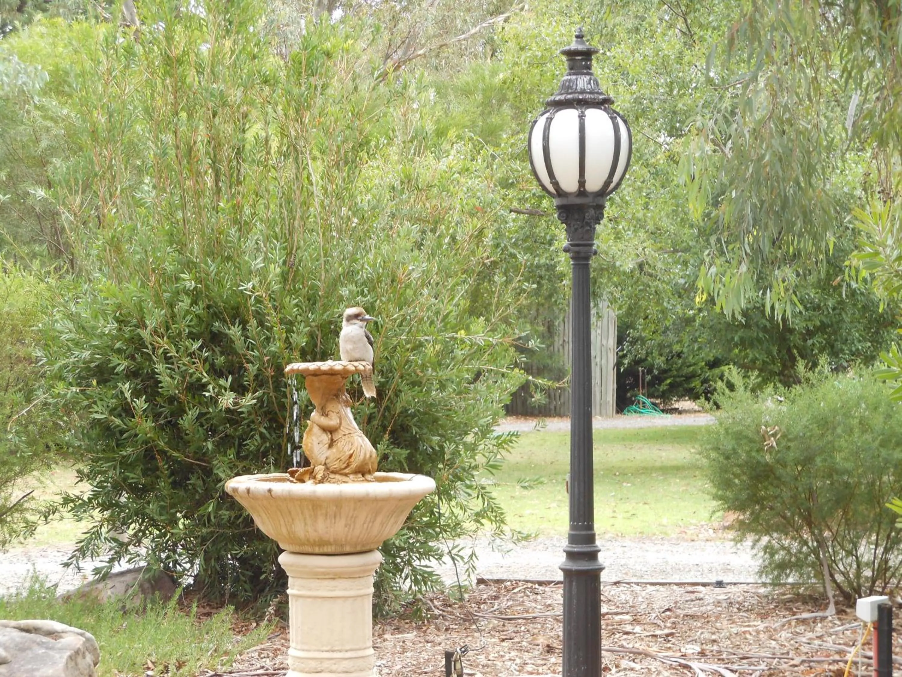 Bird's eye view in Grampians View Cottages and Units