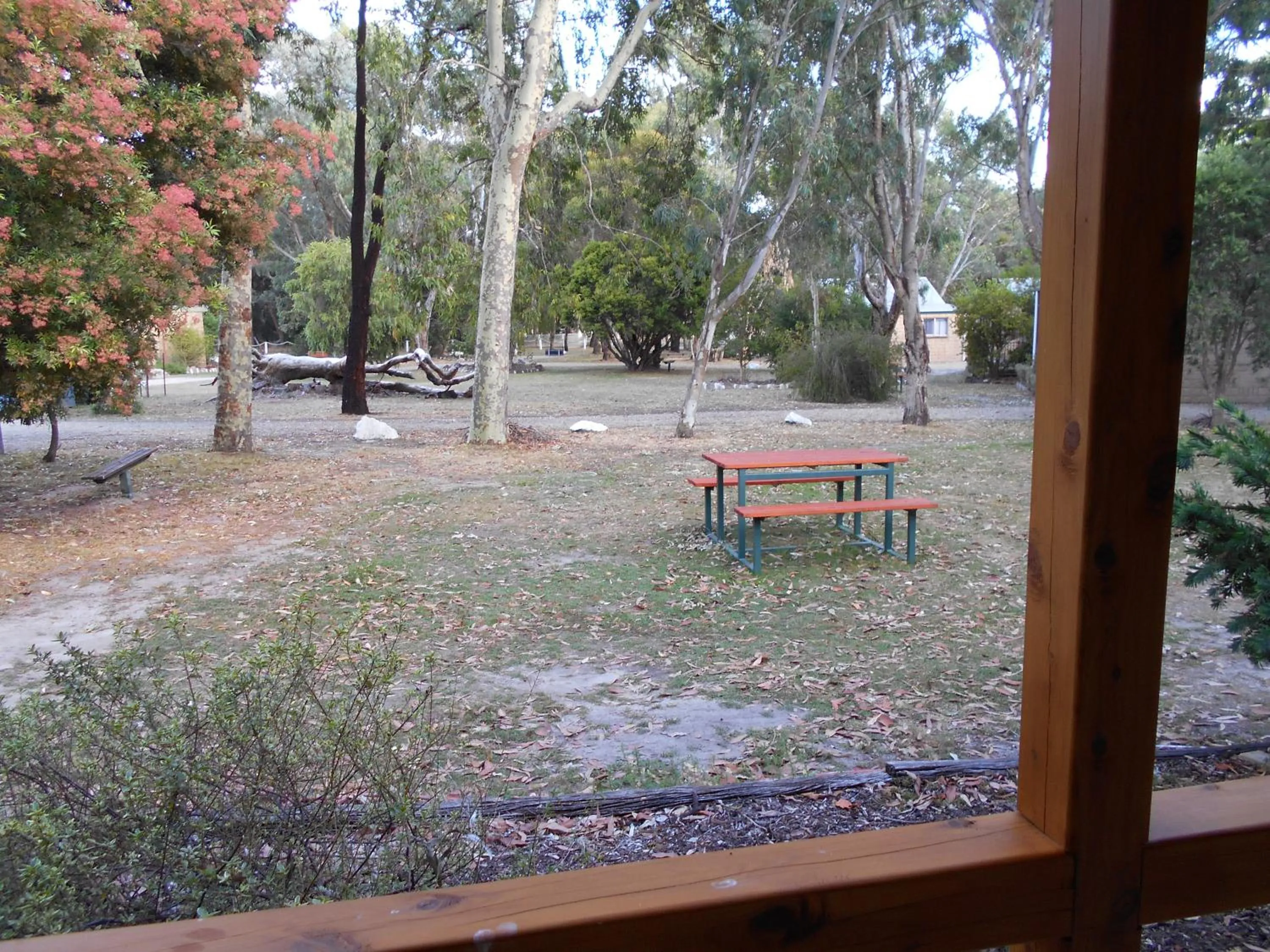 Garden view in Grampians View Cottages and Units
