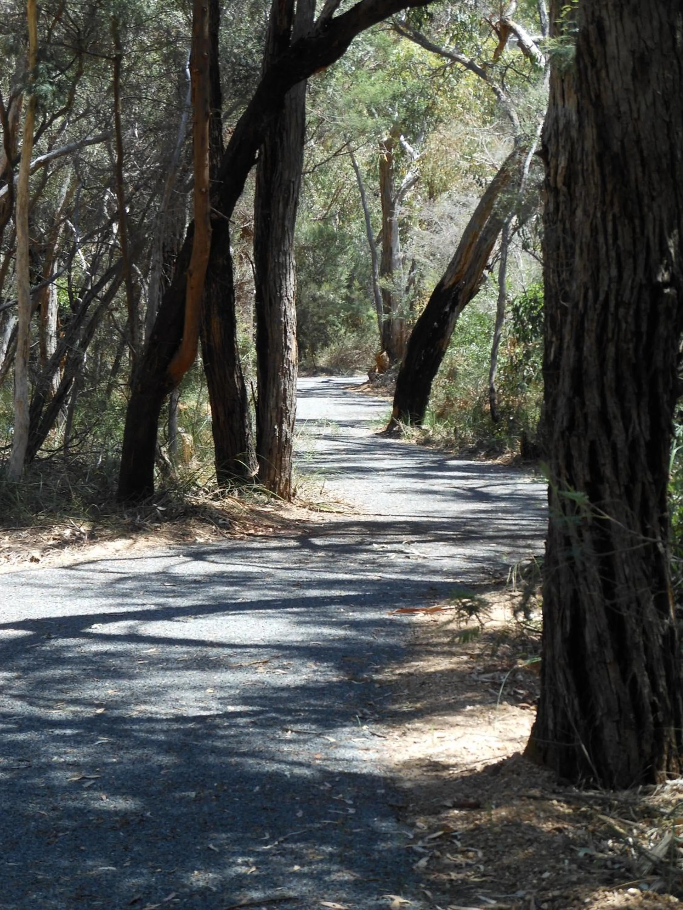 Hiking in Grampians View Cottages and Units