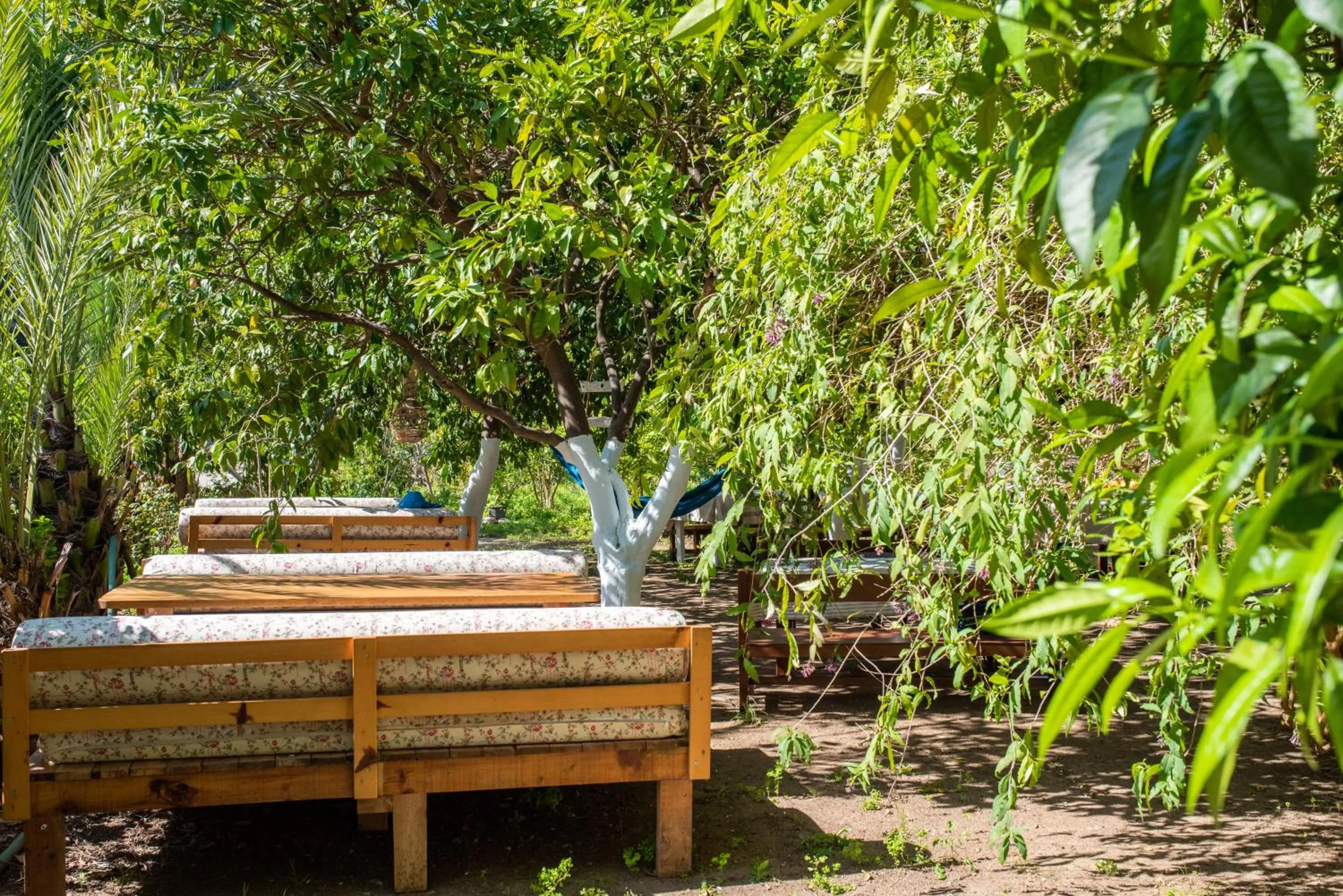 Garden in San Simon Hotel