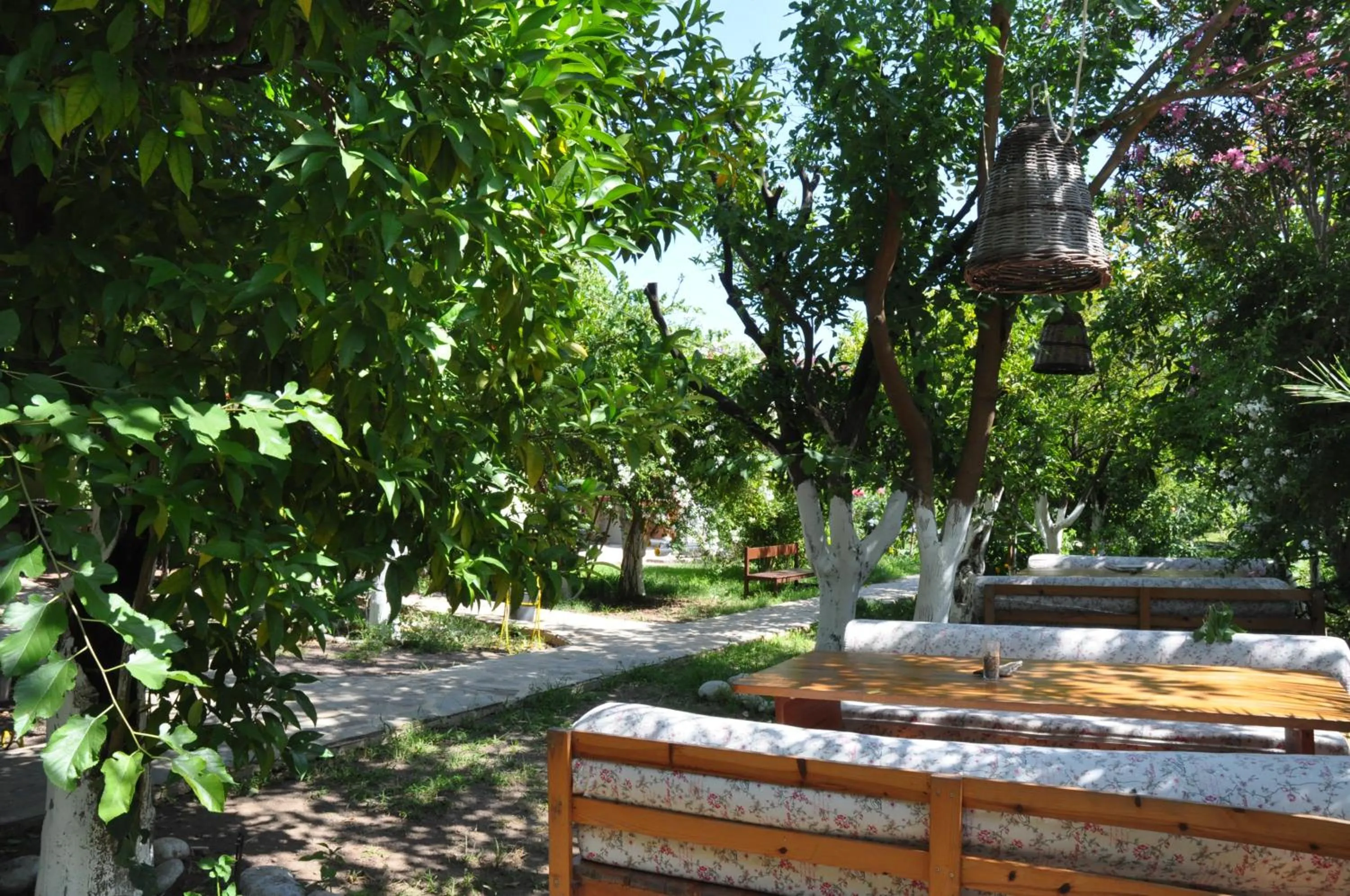 Garden in San Simon Hotel