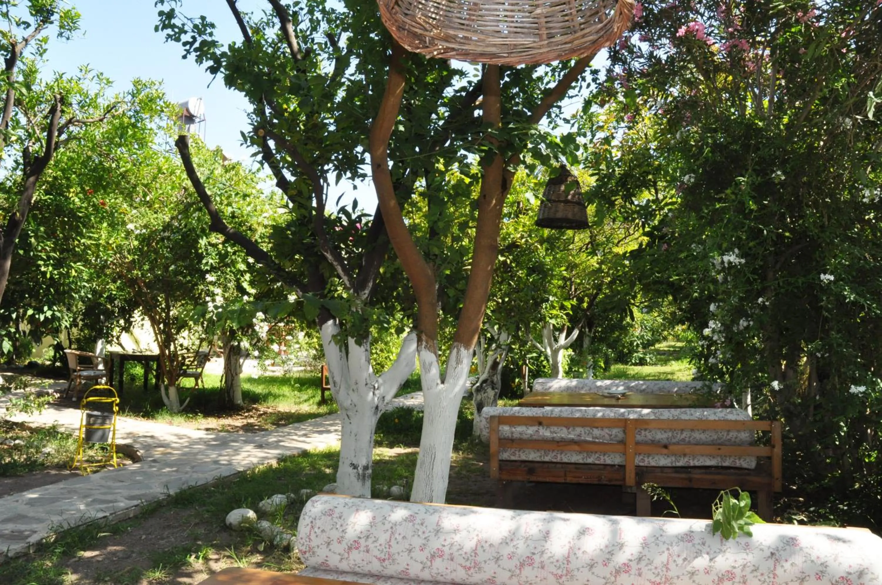 Garden in San Simon Hotel