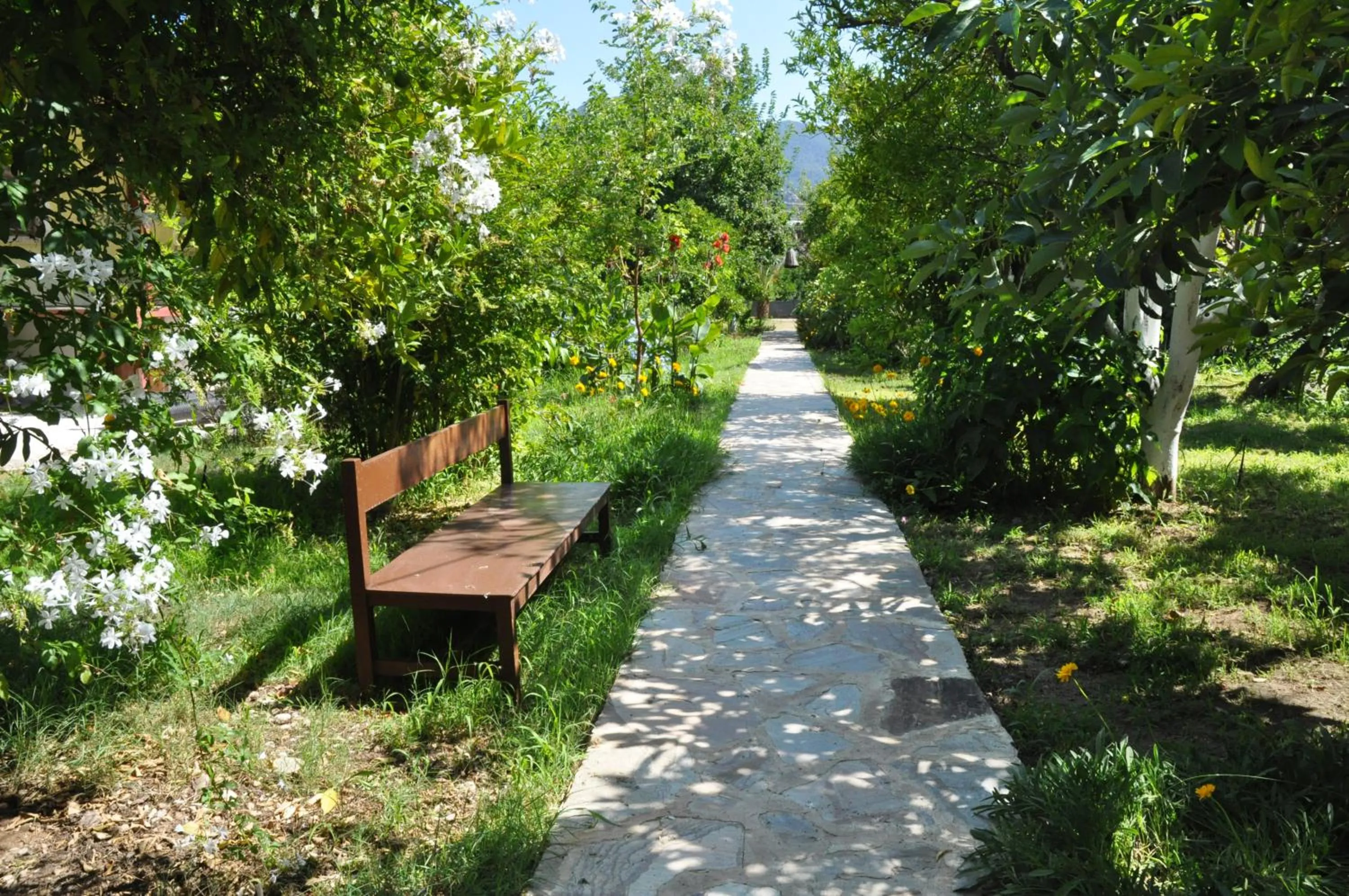 Garden in San Simon Hotel