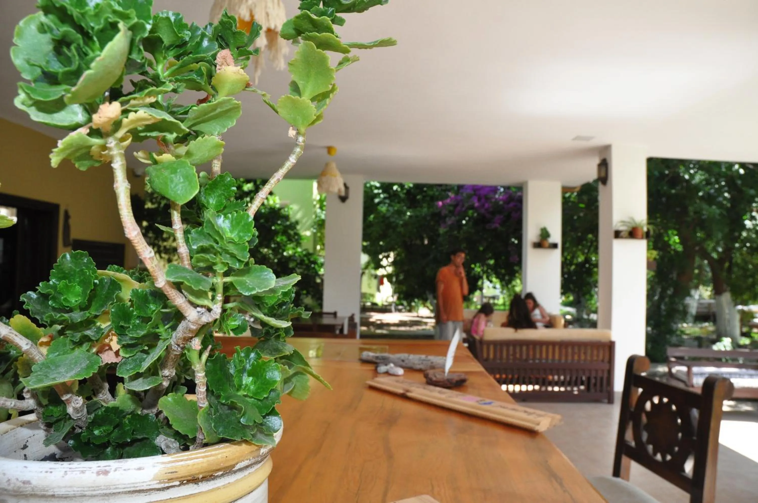 Patio in San Simon Hotel