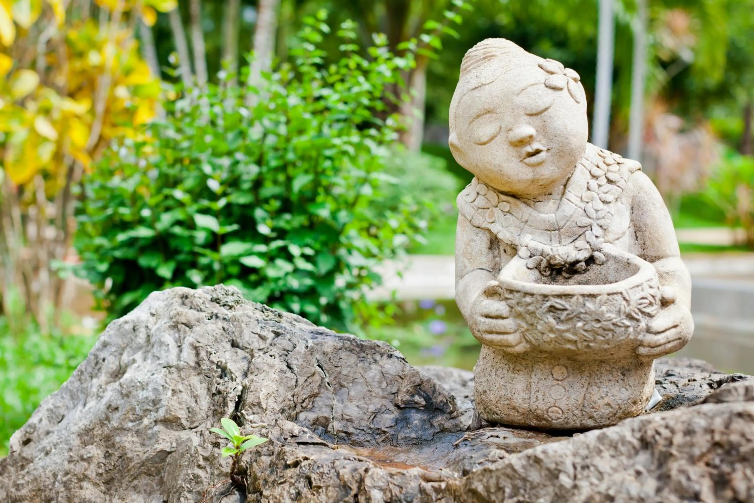 Garden in Villa Pimmada