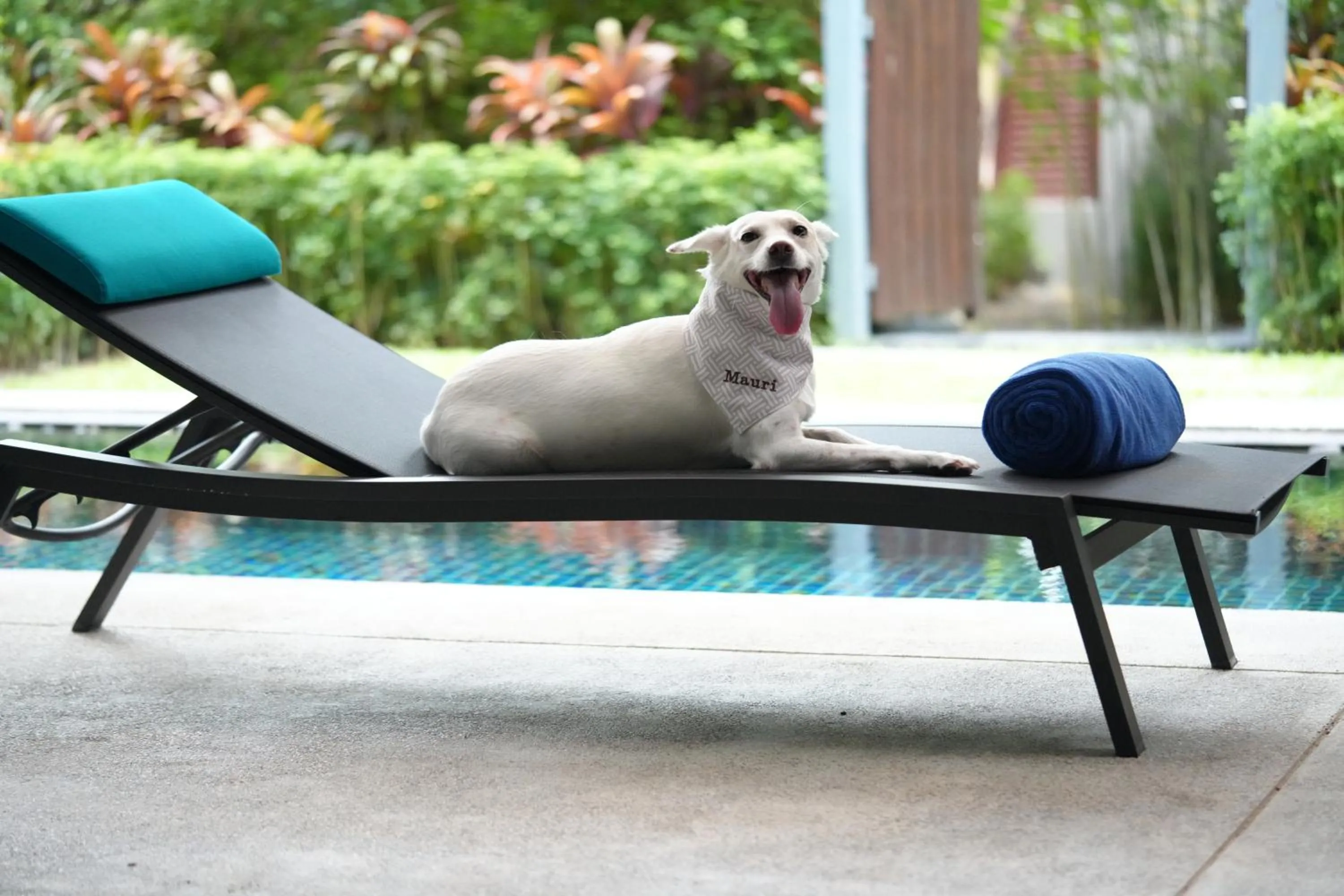 Pets in Anantara Mai Khao Phuket Villas