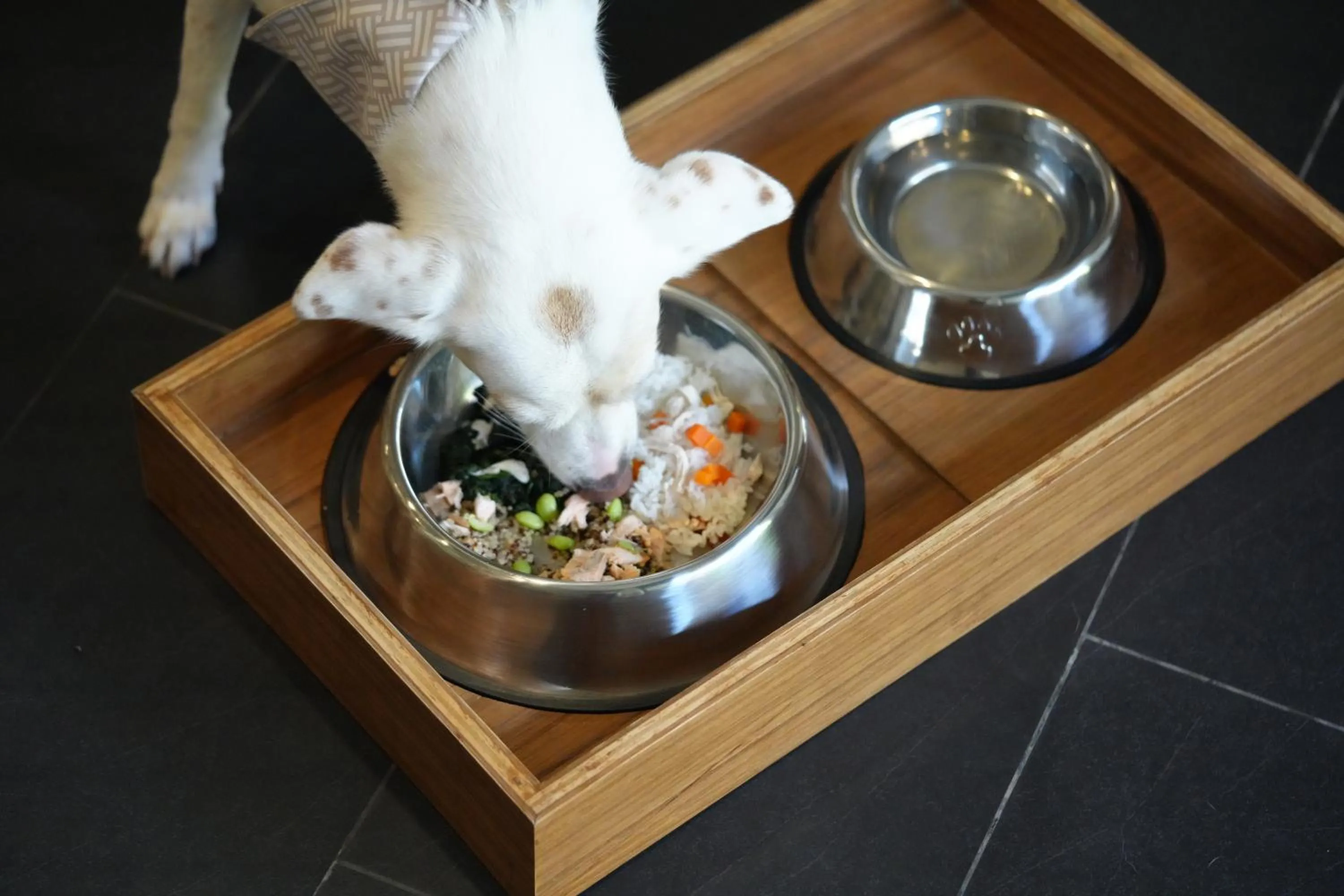 Pets in Anantara Mai Khao Phuket Villas