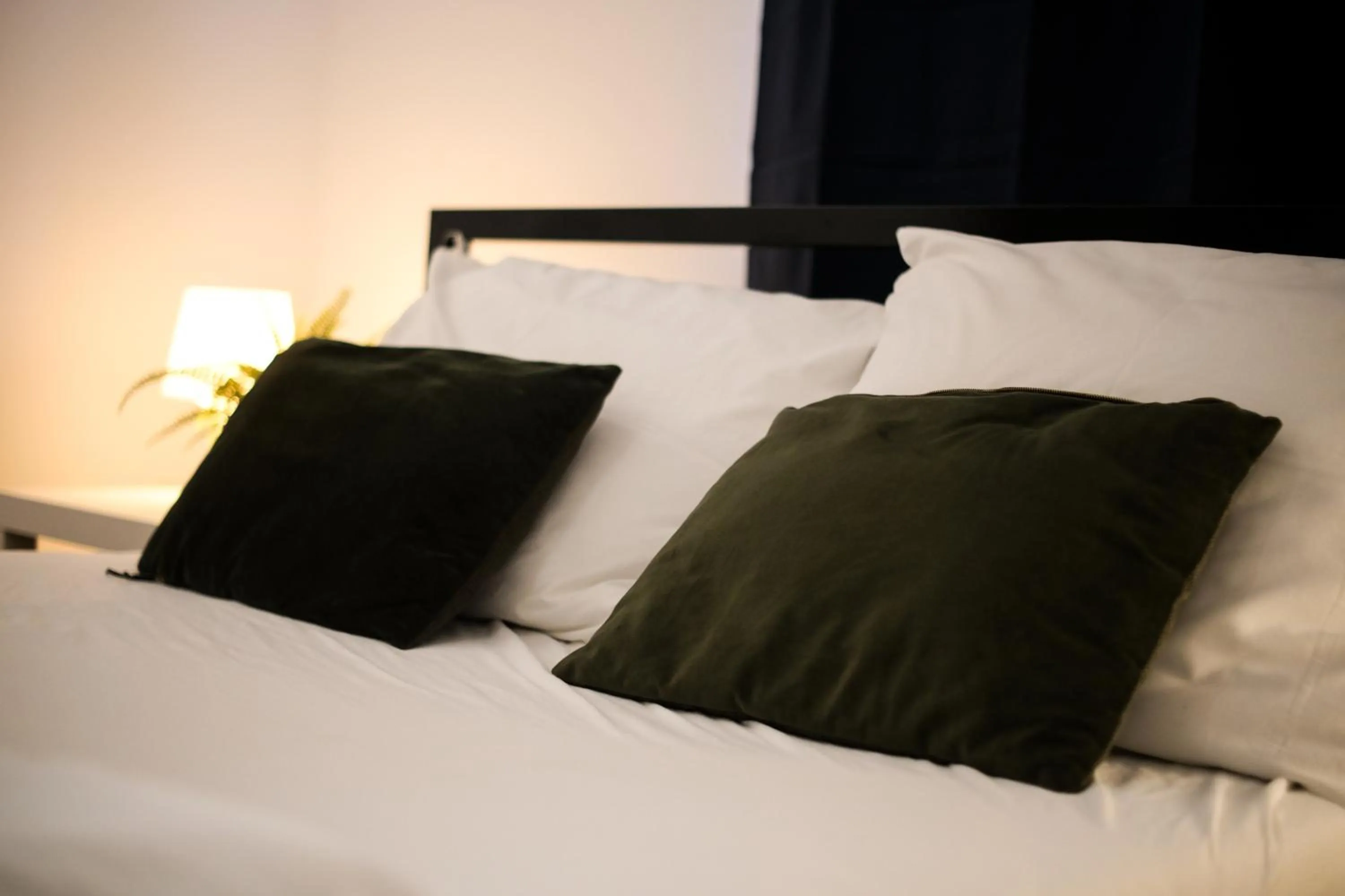 Bed in Whole Wide World Hostel