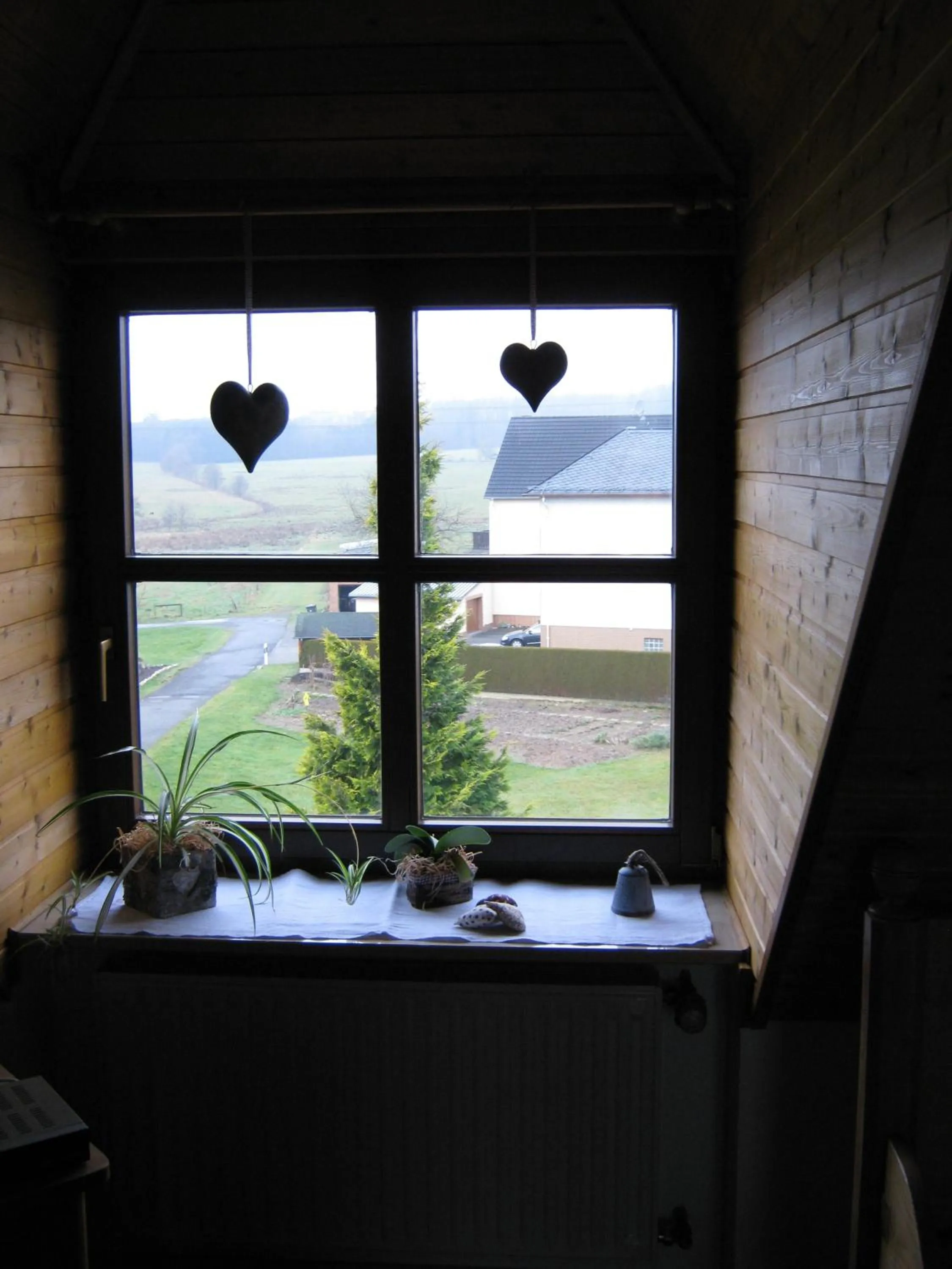 View (from property/room) in Stierstall-Suite Pension Wahlenau