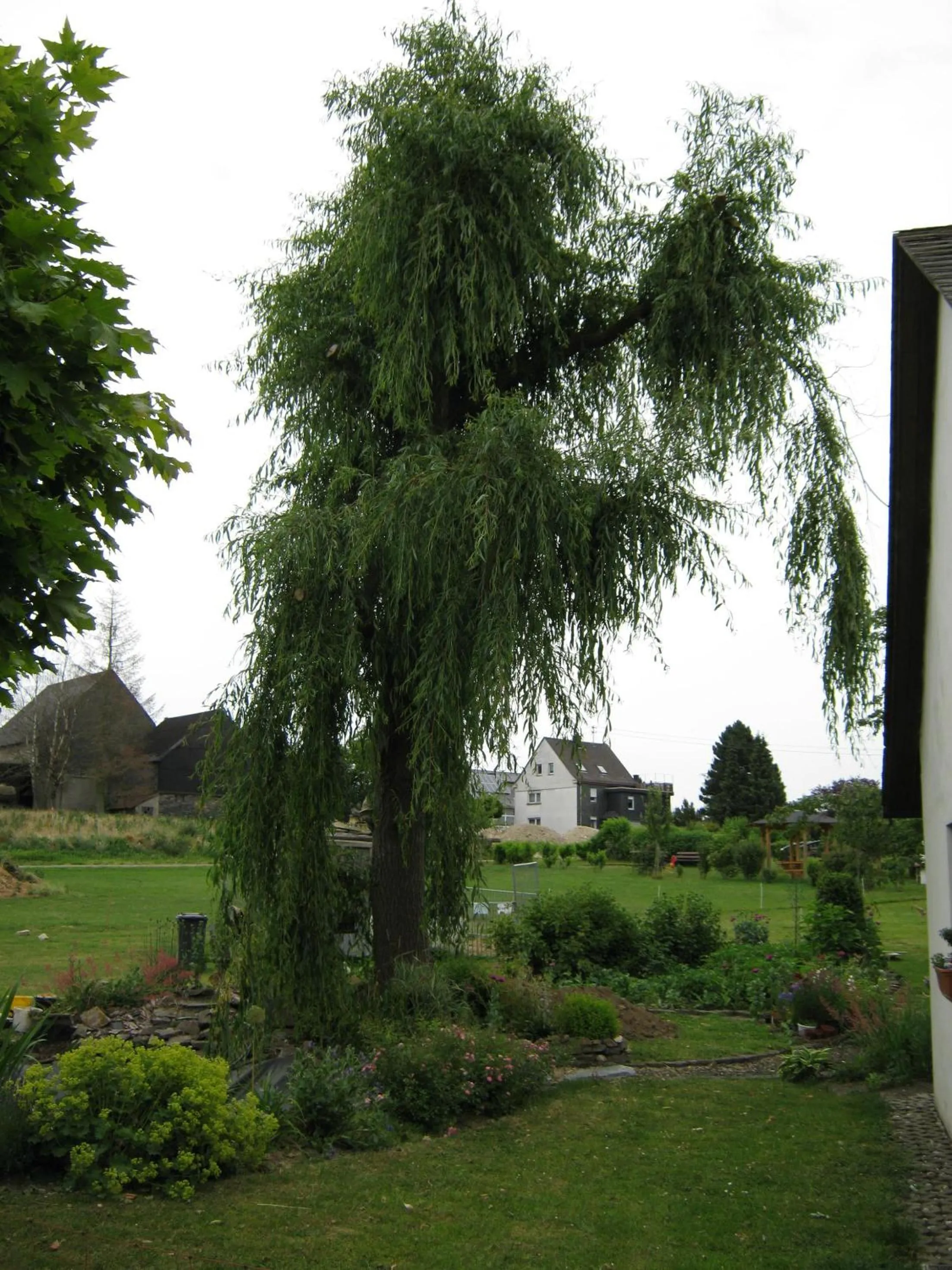 Facade/entrance in Stierstall-Suite Pension Wahlenau