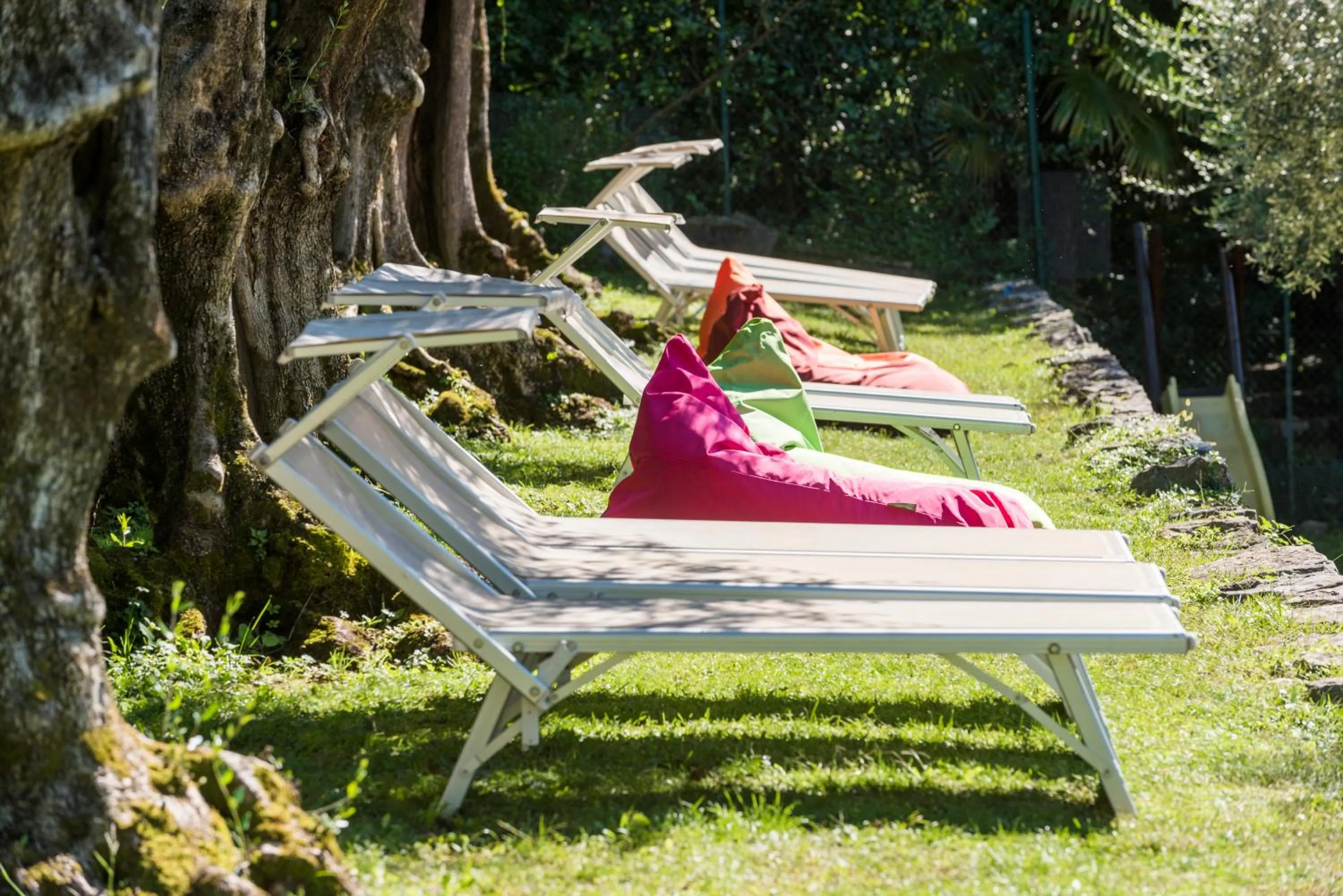 Natural landscape in Torbole Aparthotel