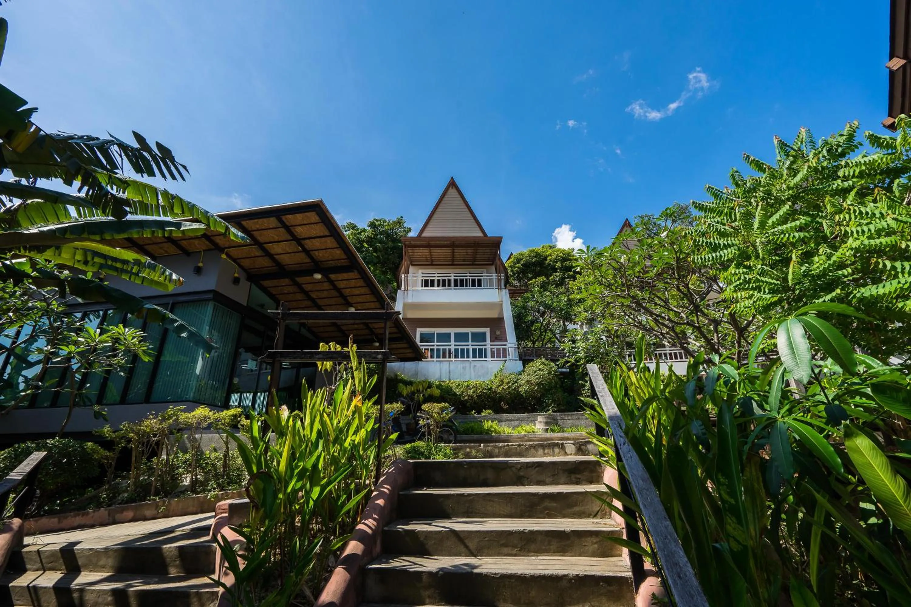 Natural landscape in Cocohut Beach Resort Koh Phangan