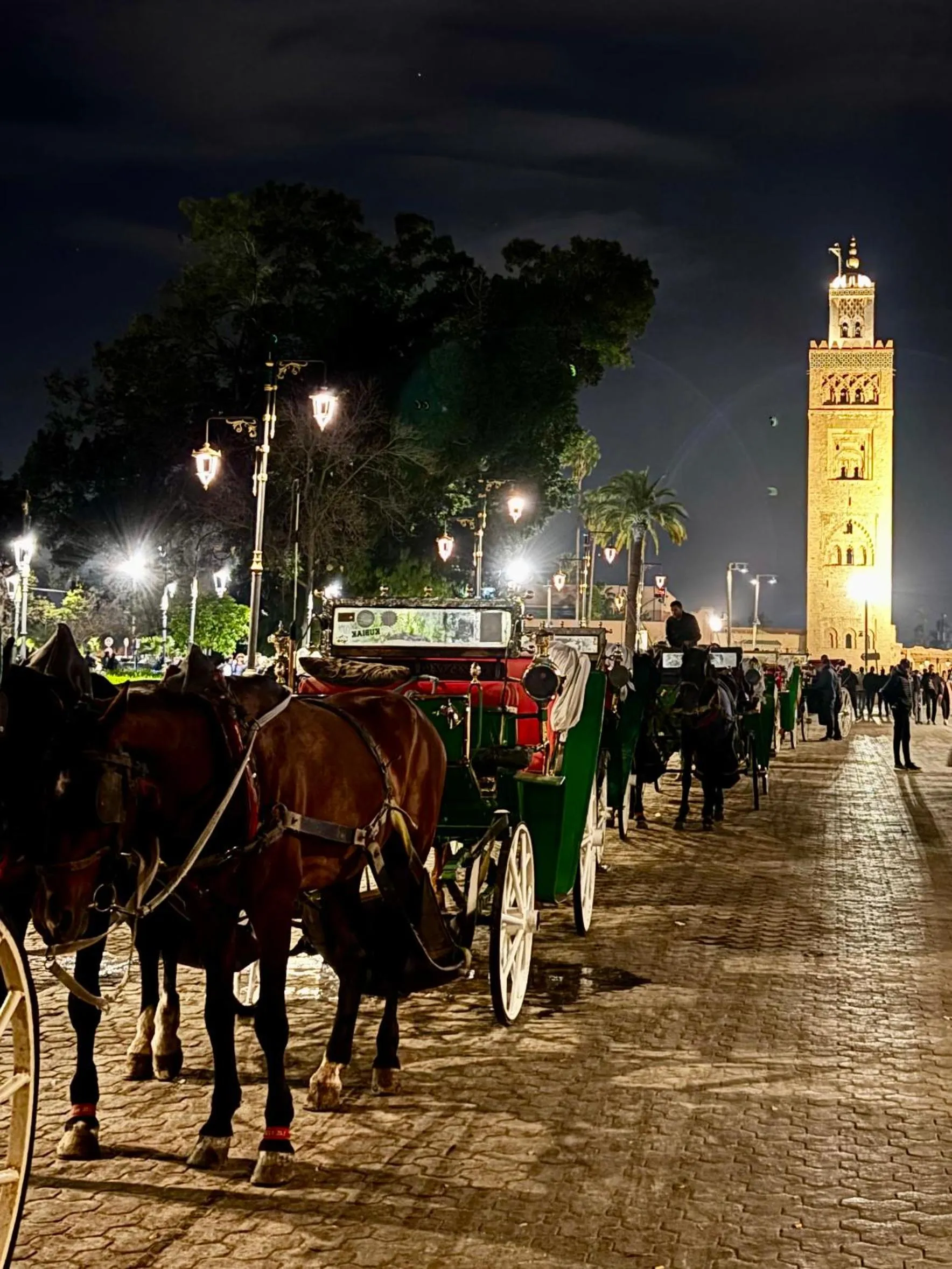 Night in Riad la Cigale