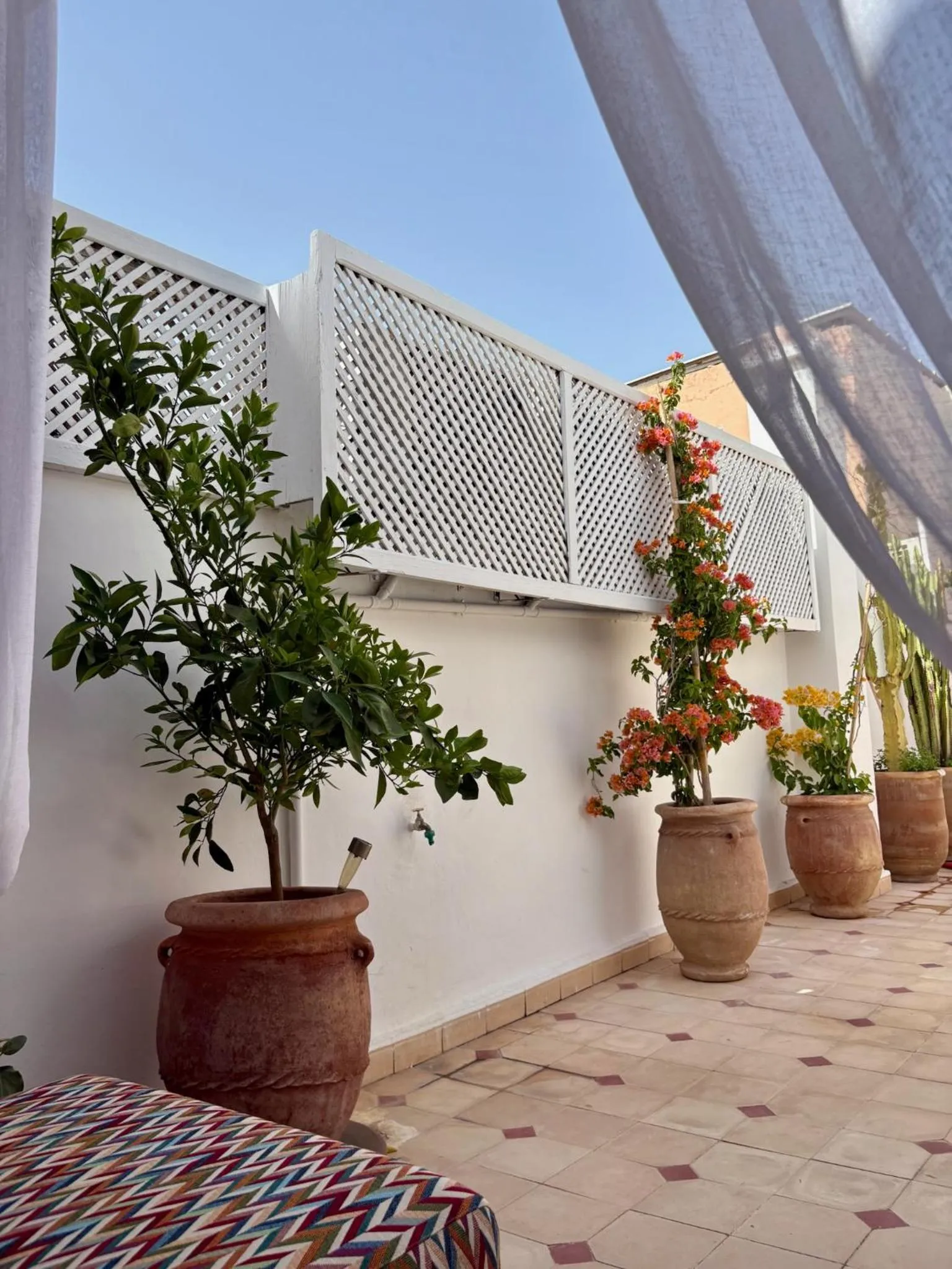 Balcony/Terrace in Riad la Cigale