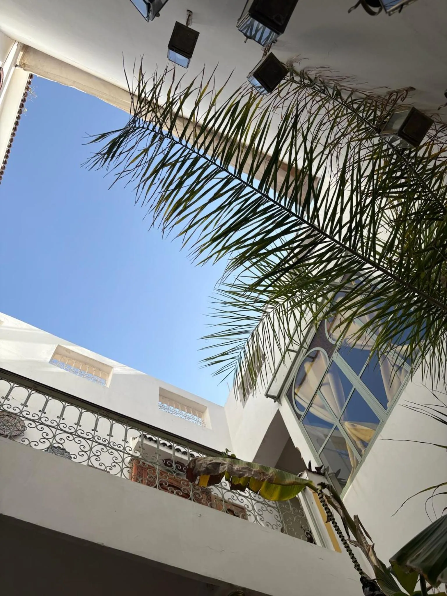 Balcony/Terrace in Riad la Cigale
