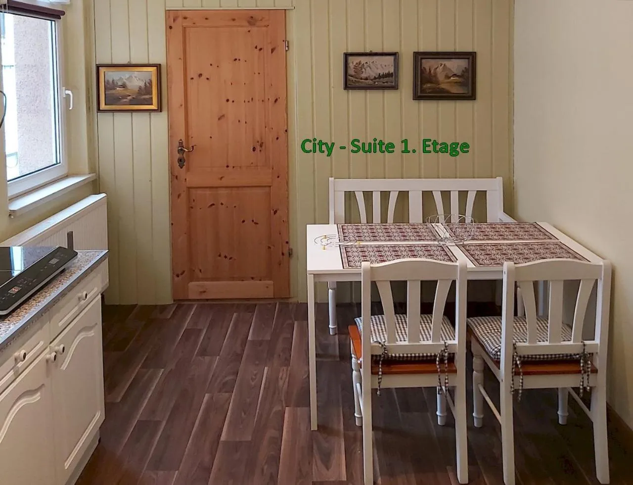 kitchen in City-Ferienwohnungen-Dresden - zentral gelegen im Haus Louisenstrasse 11 - Dresden-Neustadt