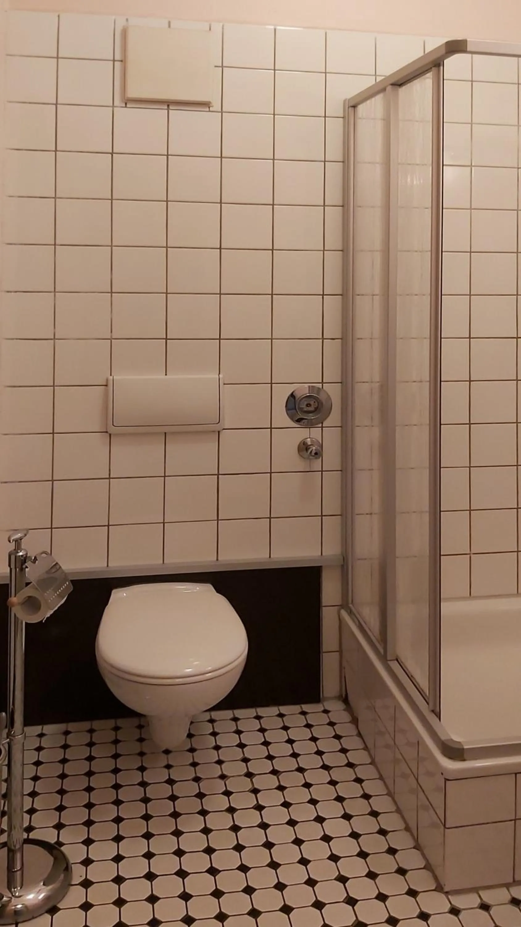Shower in City-Ferienwohnungen-Dresden - zentral gelegen im Haus Louisenstrasse 11 - Dresden-Neustadt
