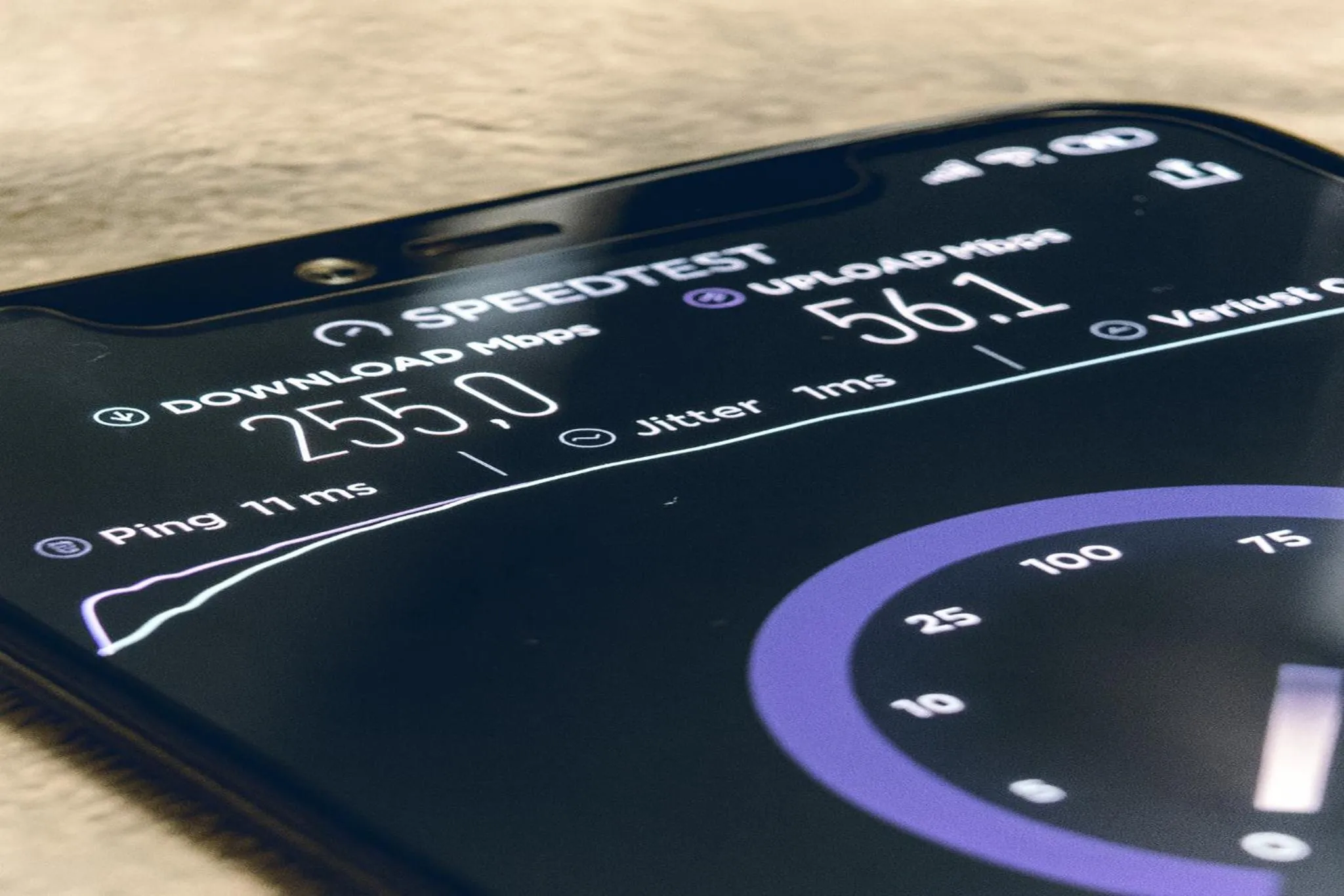 Logo/Certificate/Sign in LiV MTL Main