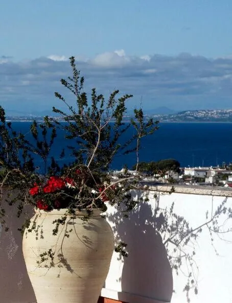 Restaurant/places to eat in Hotel Casa Di Meglio