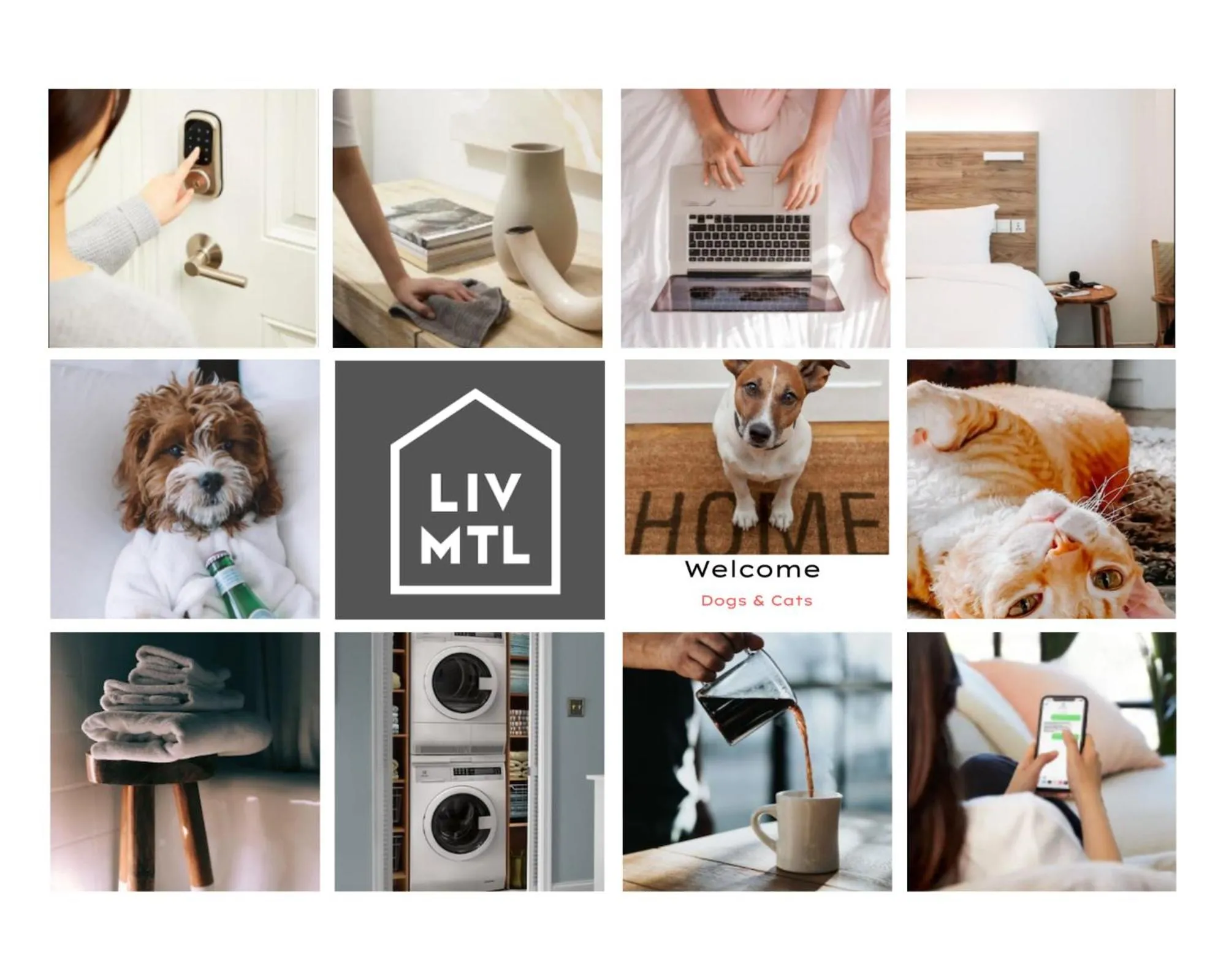 pet friendly in LiV MTL Downtown
