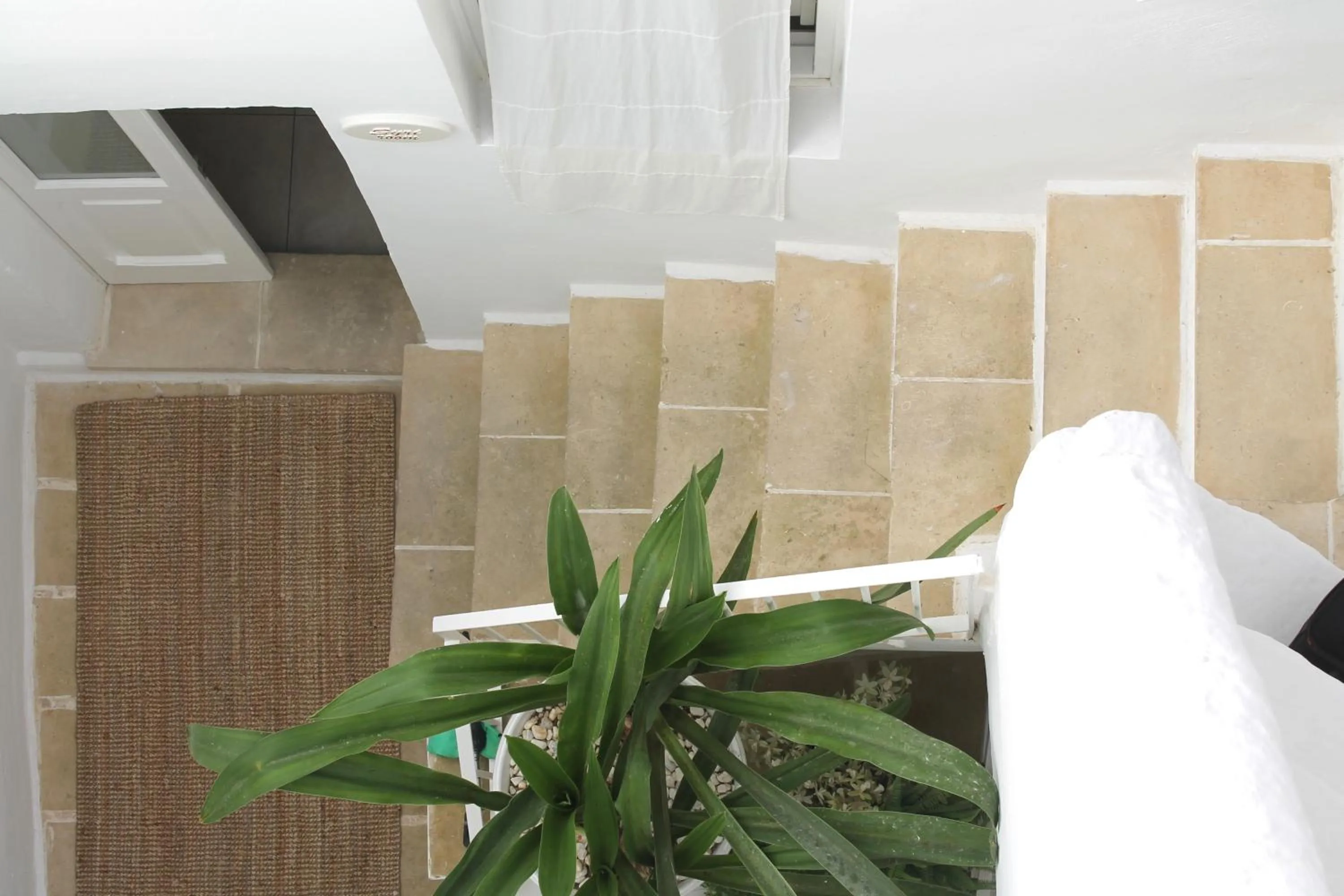 Palmieri Luxury Rooms