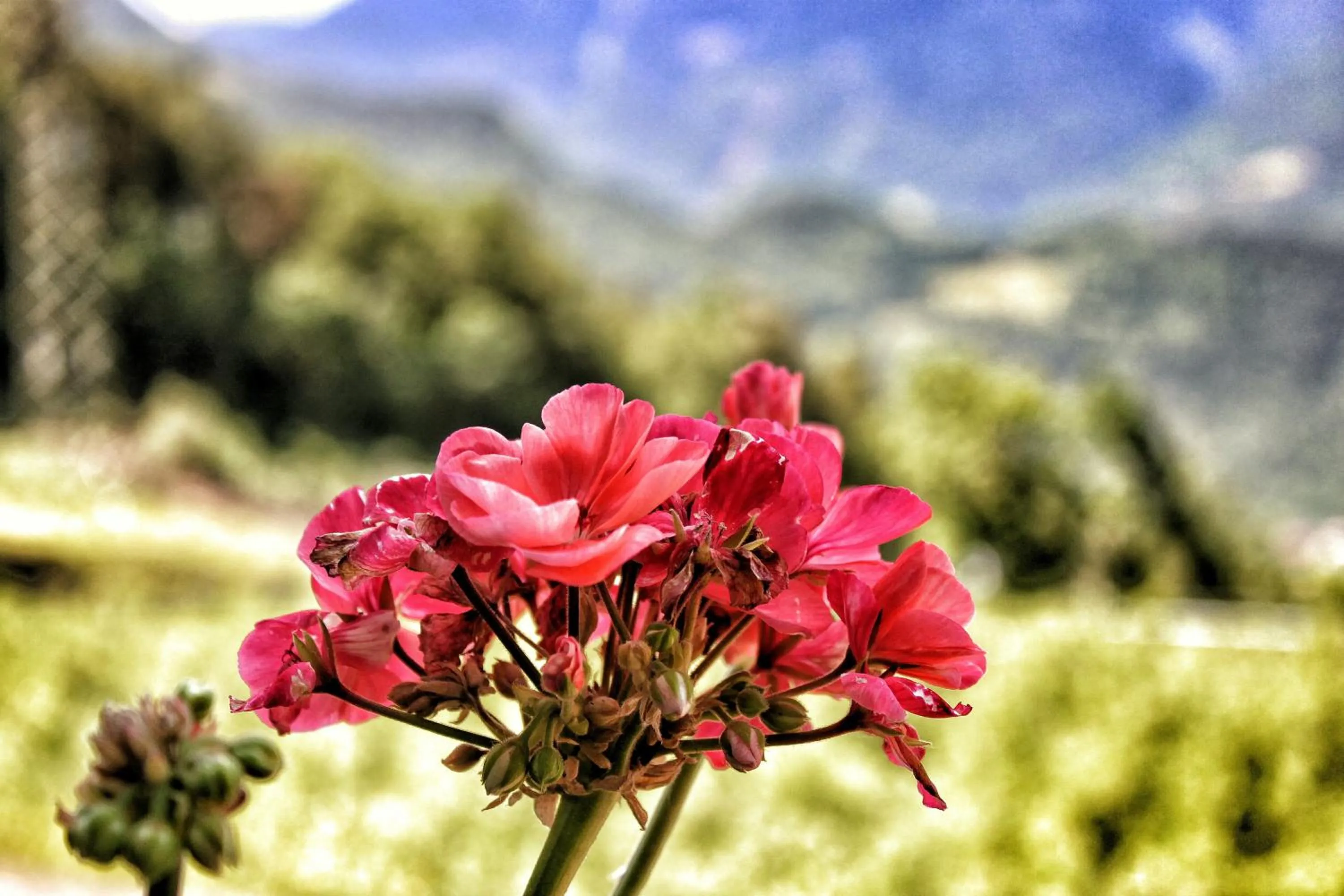 Other in Panoramahotel Unterinnerhof