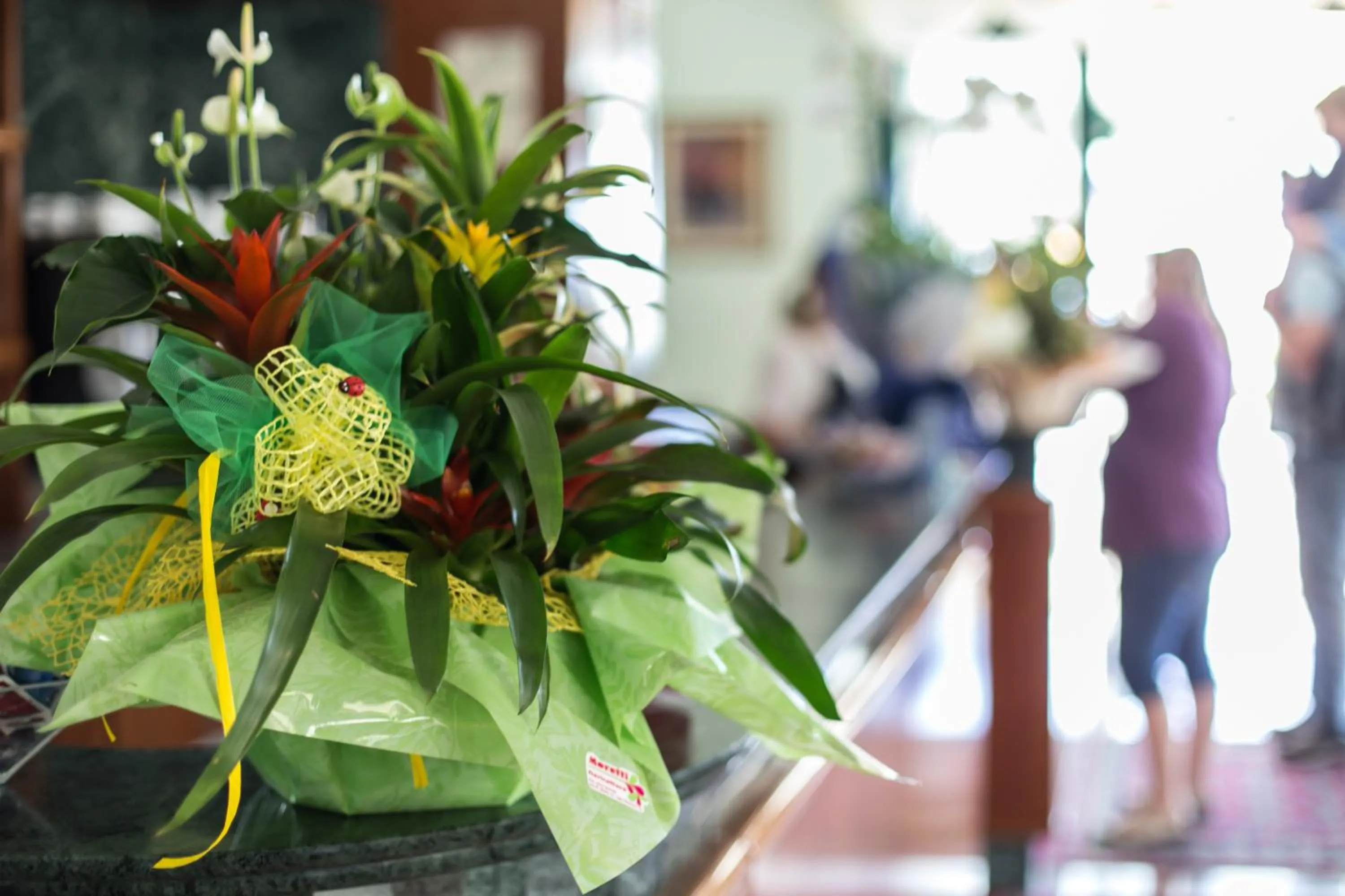 Decorative detail in Hotel Emilia