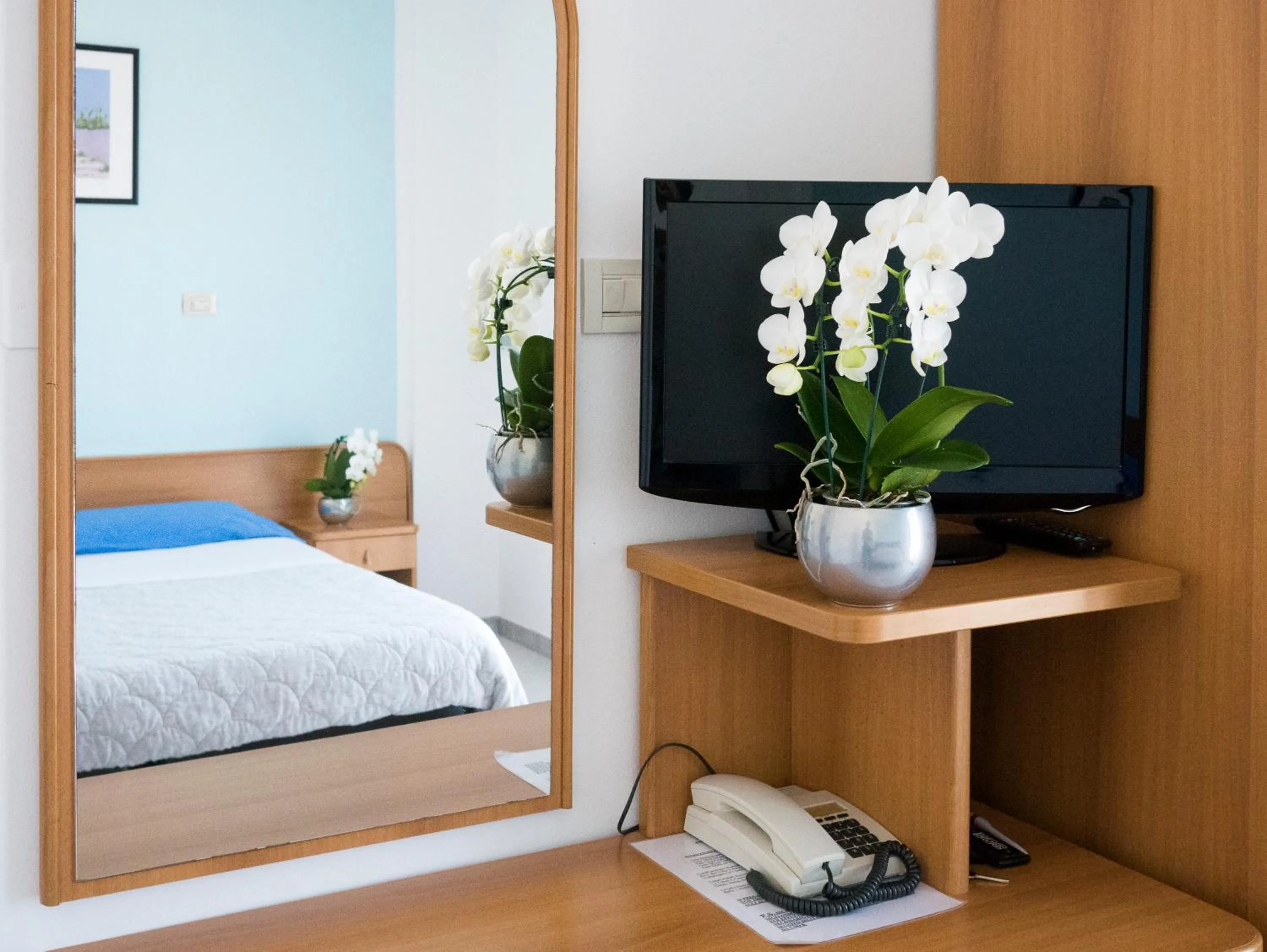 TV and multimedia, Bed in Hotel Emilia