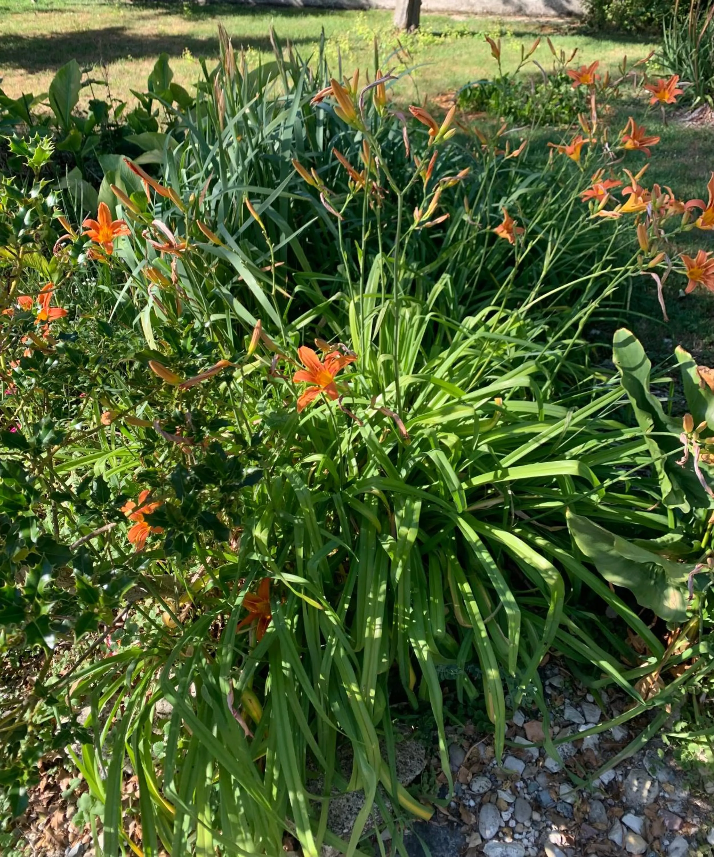 Property building in Maison d'hôtes La Chabanaise - Marais Poitevin