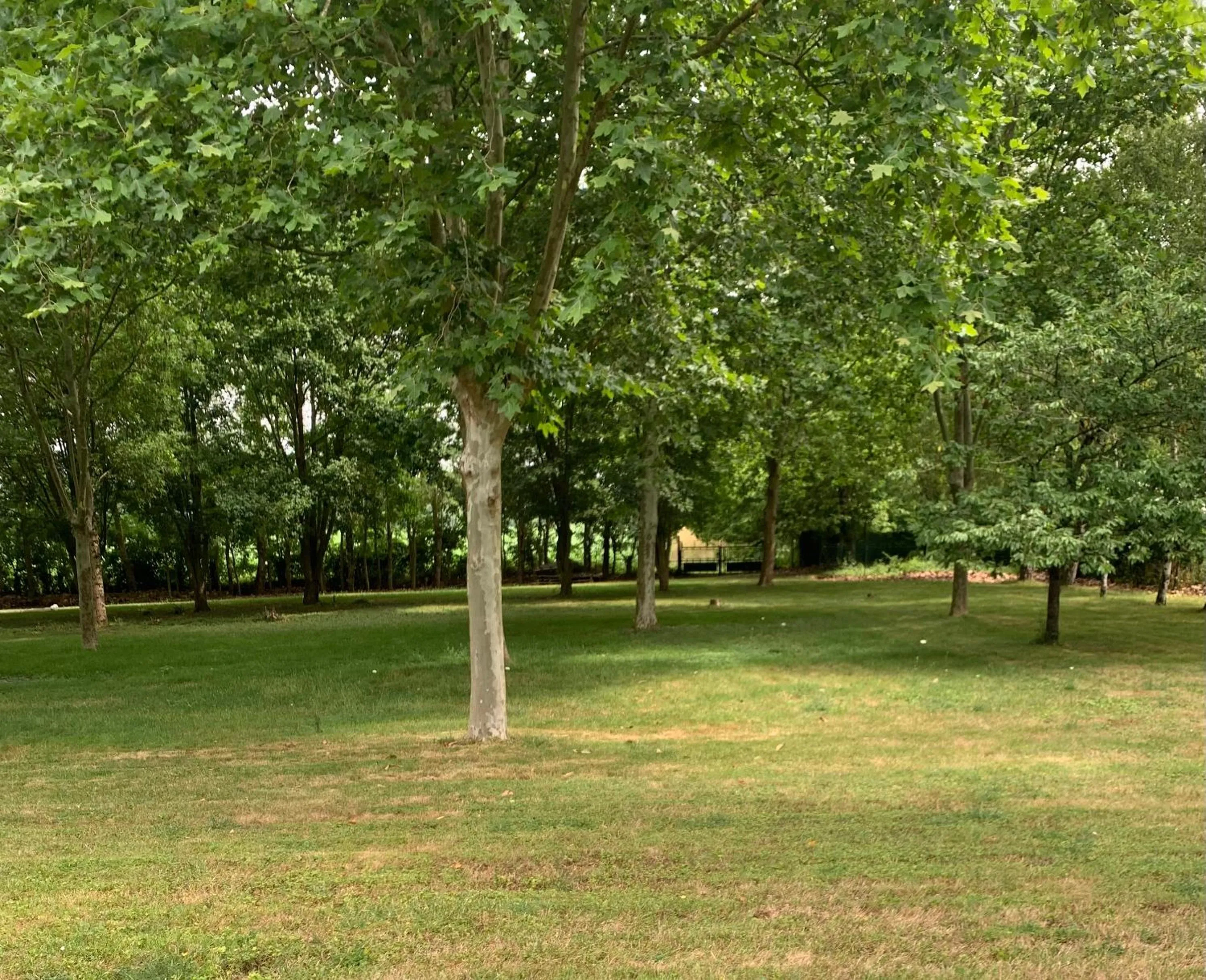 Property building in Maison d'hôtes La Chabanaise - Marais Poitevin