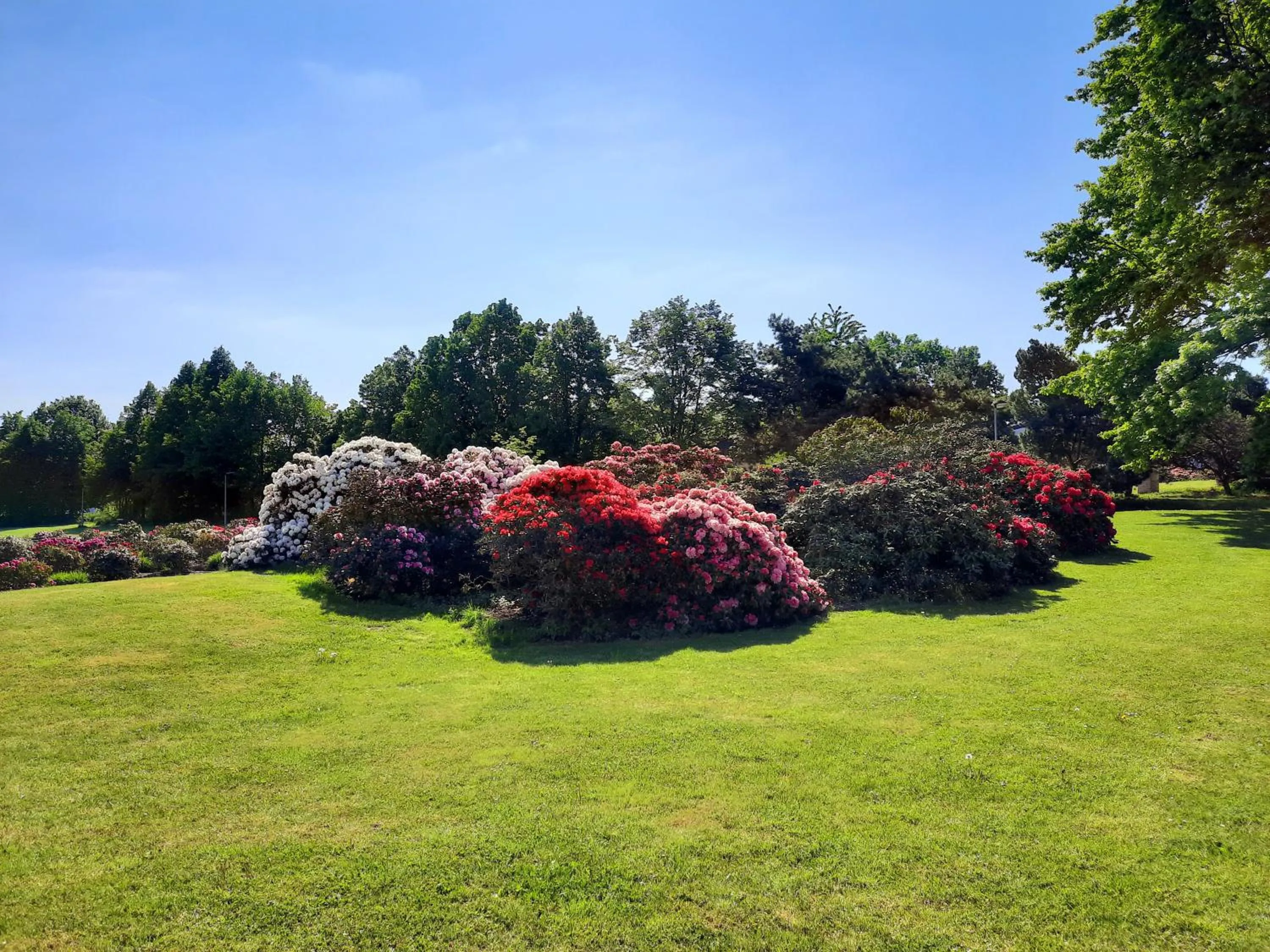 Off site in Hotel Floret