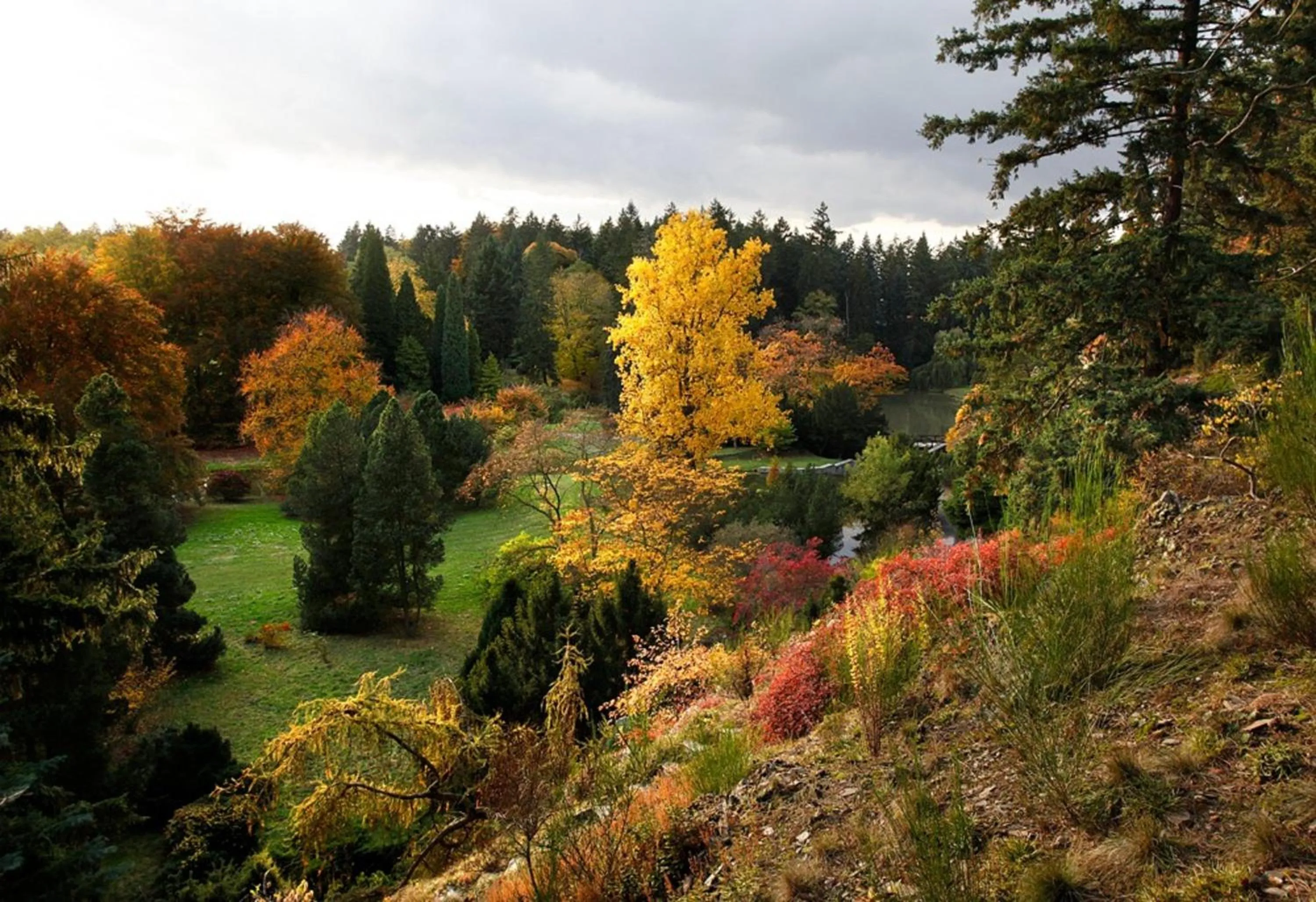 Garden in Hotel Floret