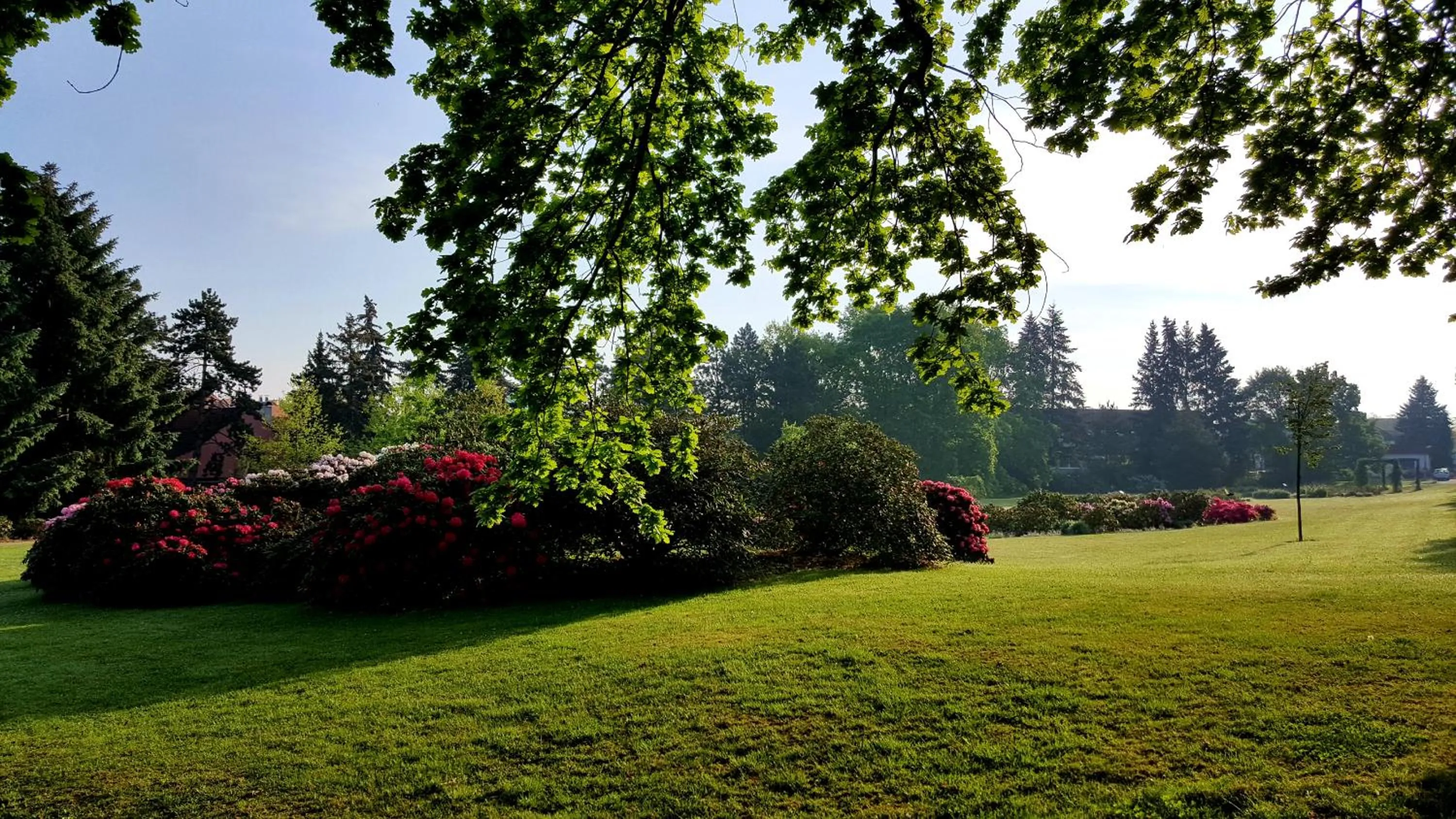 Off site in Hotel Floret