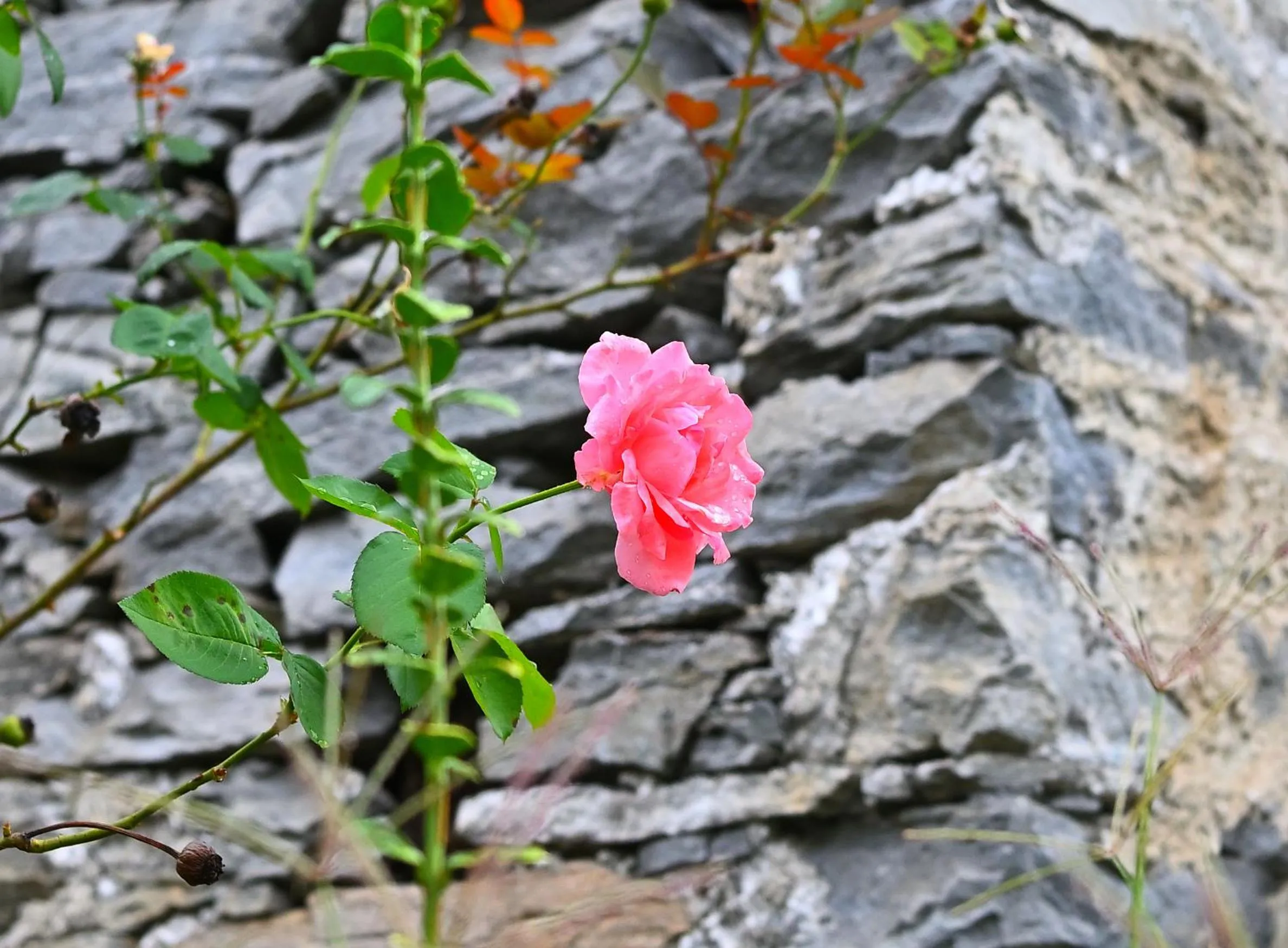 Property building in Boato Bistrot & Bed