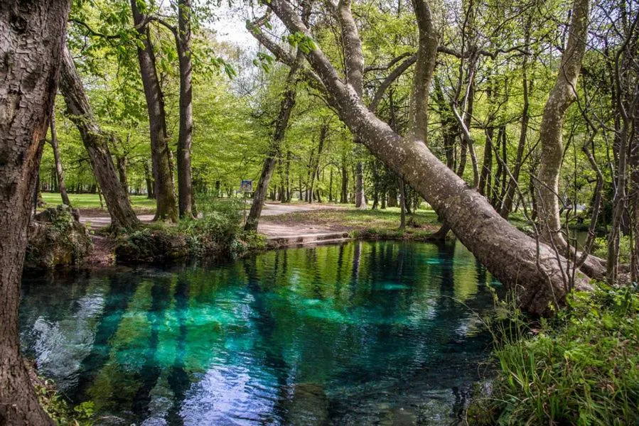 Garden in Apparthôtel Tempologis - Chateau de la Rochette