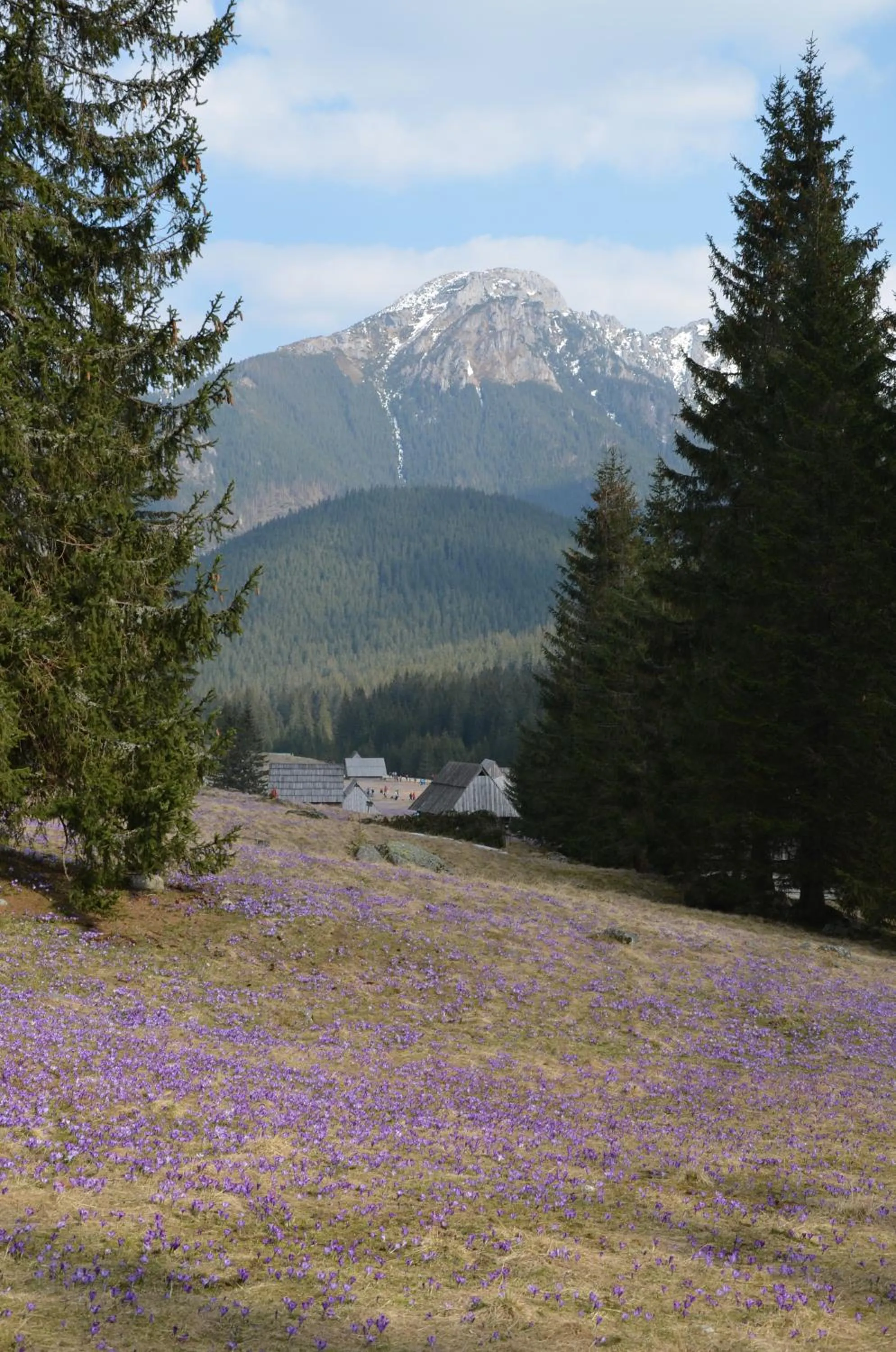 Hiking in Jedla Miejsce Gościnne