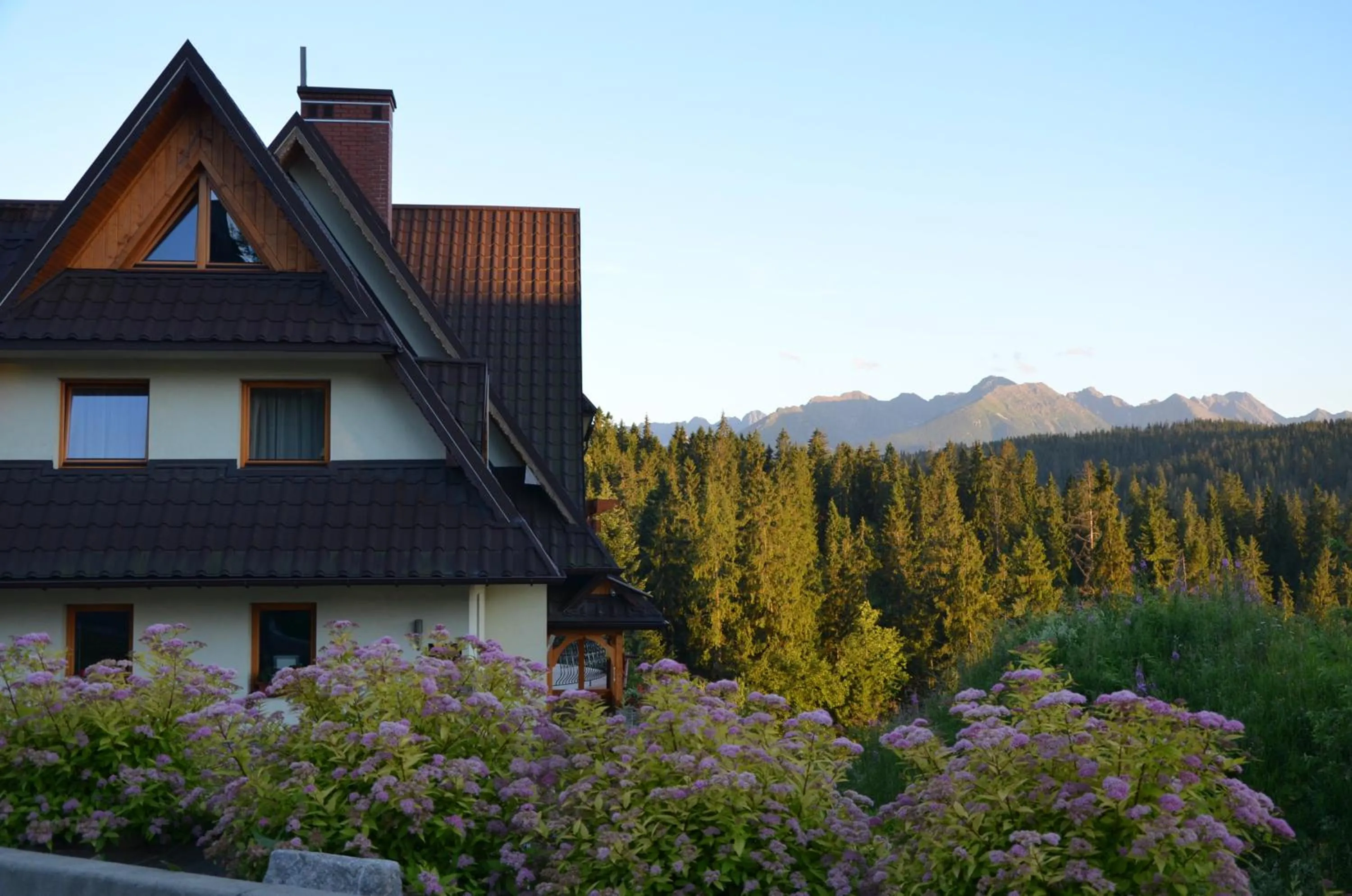 Mountain view in Jedla Miejsce Gościnne
