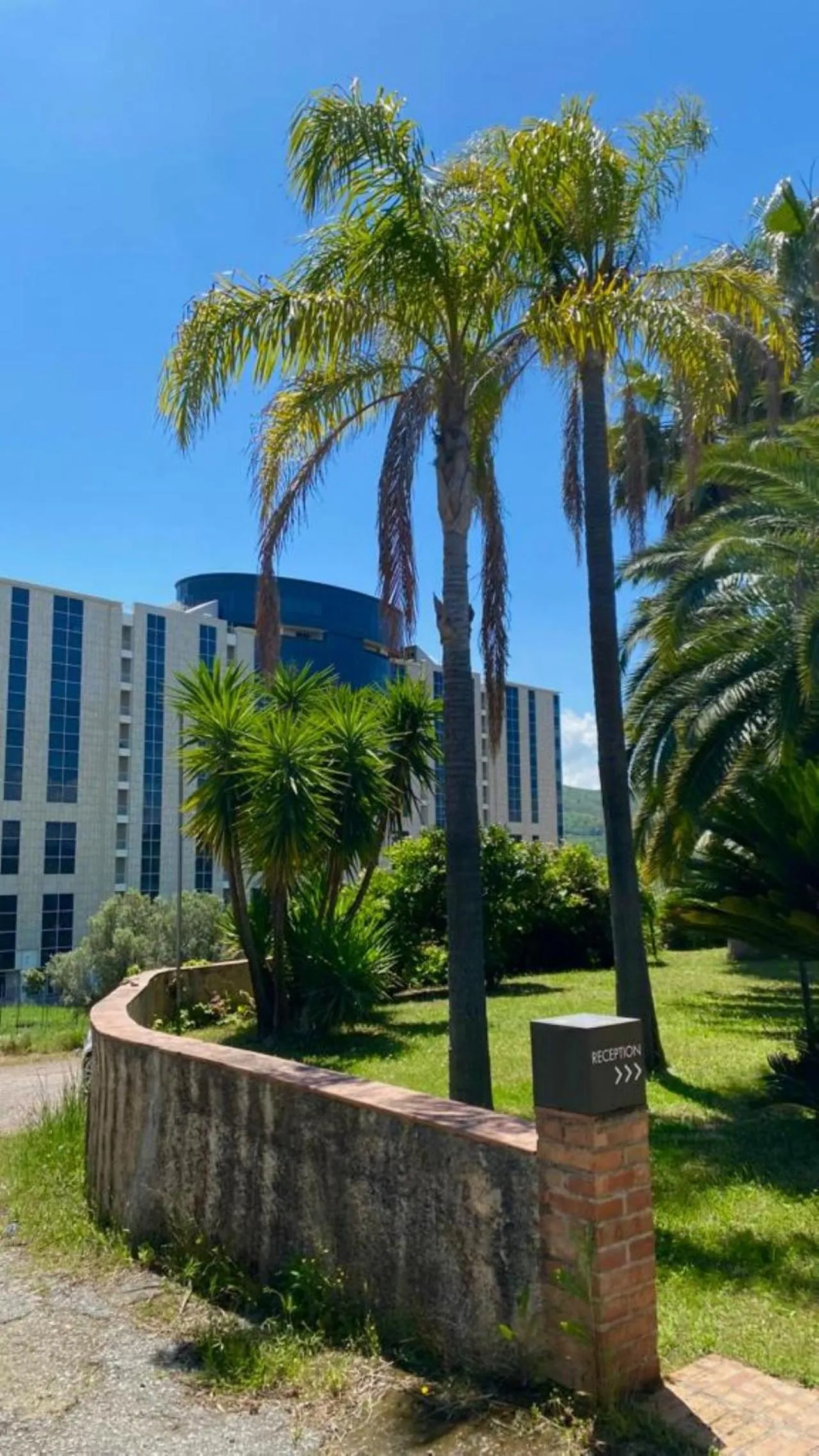 Garden view in San Michele Apartments&Rooms