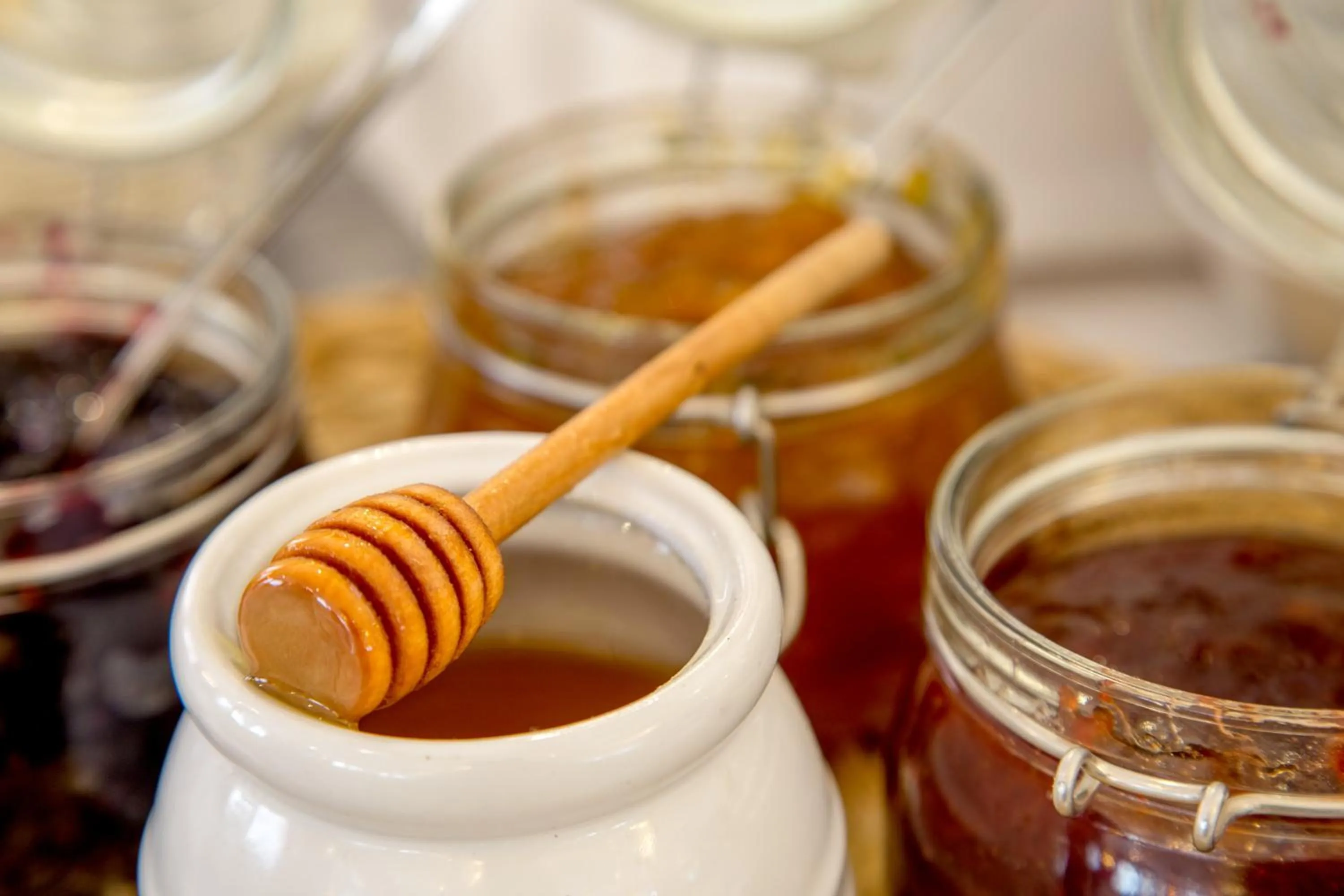 Non alcoholic drinks in Hotel Cristoforo Colombo