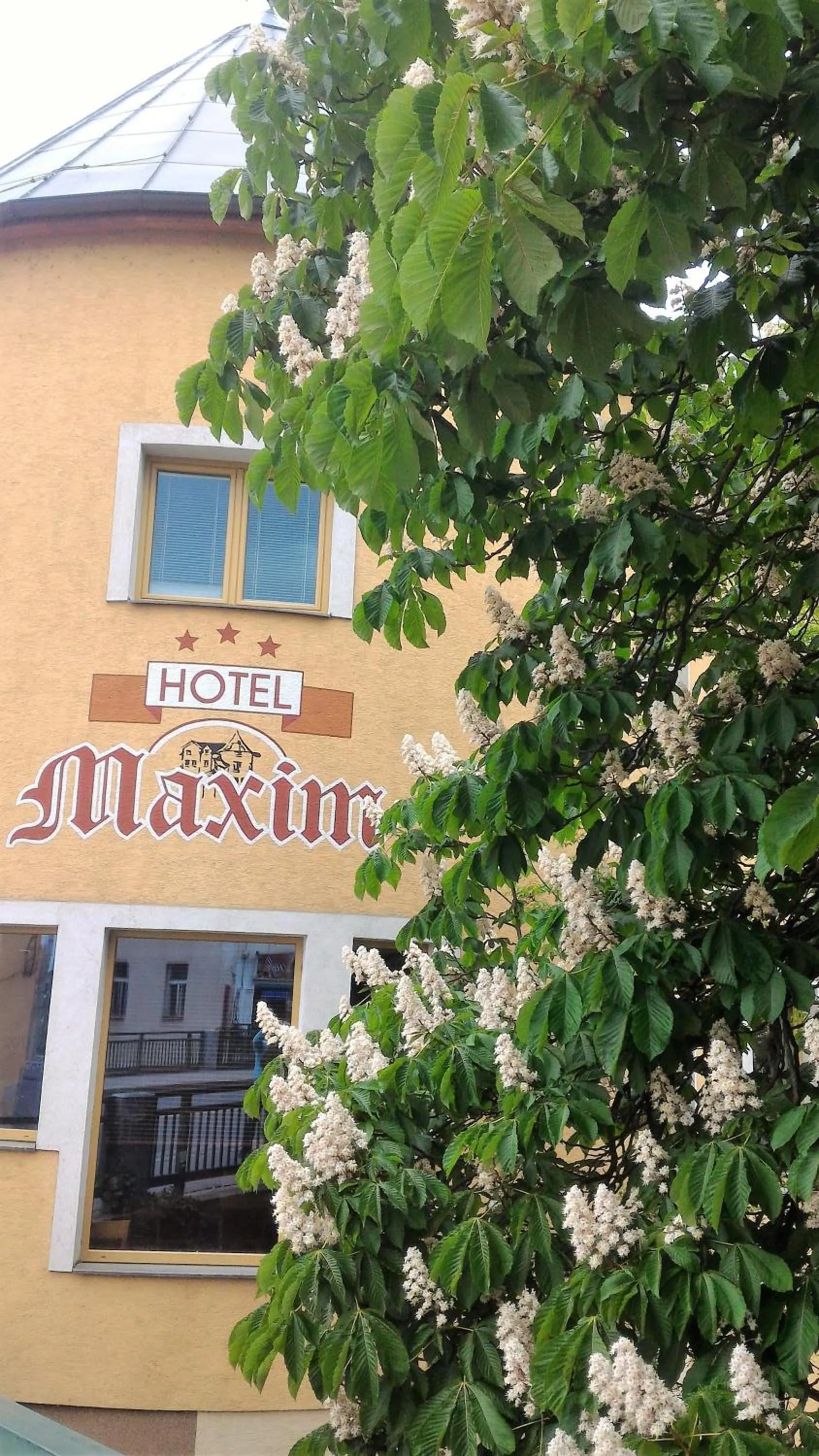 Day in Family hotel Maxim
