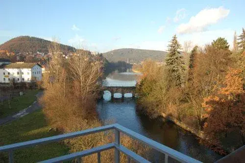 Apartment with Balcony and Park View in Family hotel Maxim Apartment with Balcony and Park View in Family hotel Maxim